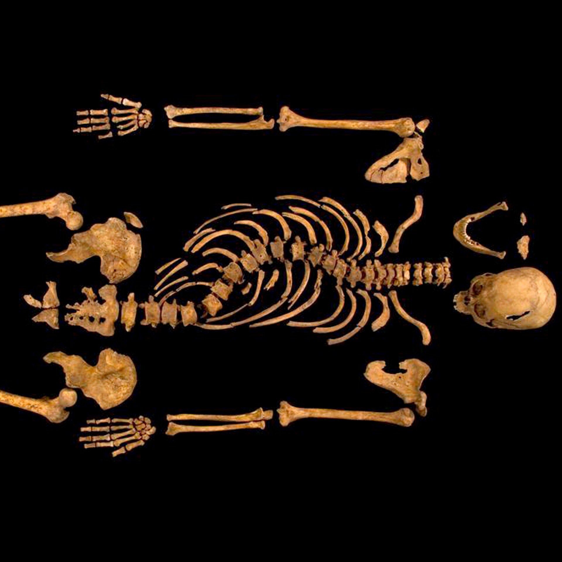 25.08.2012: Das Skelett Richards III. wird entdeckt