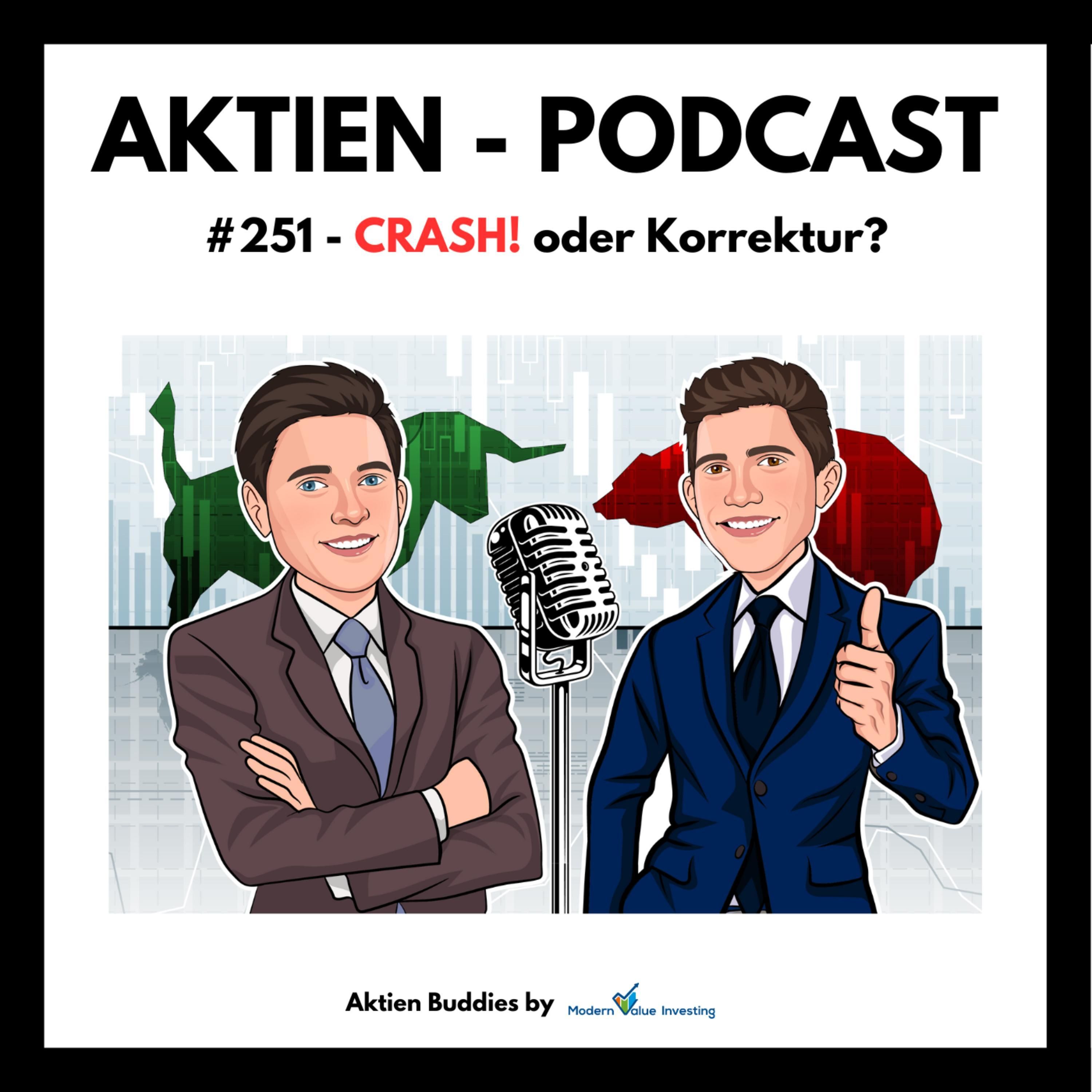 251 - Crash oder Korrektur? SMCI - Fortinet - AirBNB - Nemetschek - Tenbagger - Kellanova - ETFs uvm.