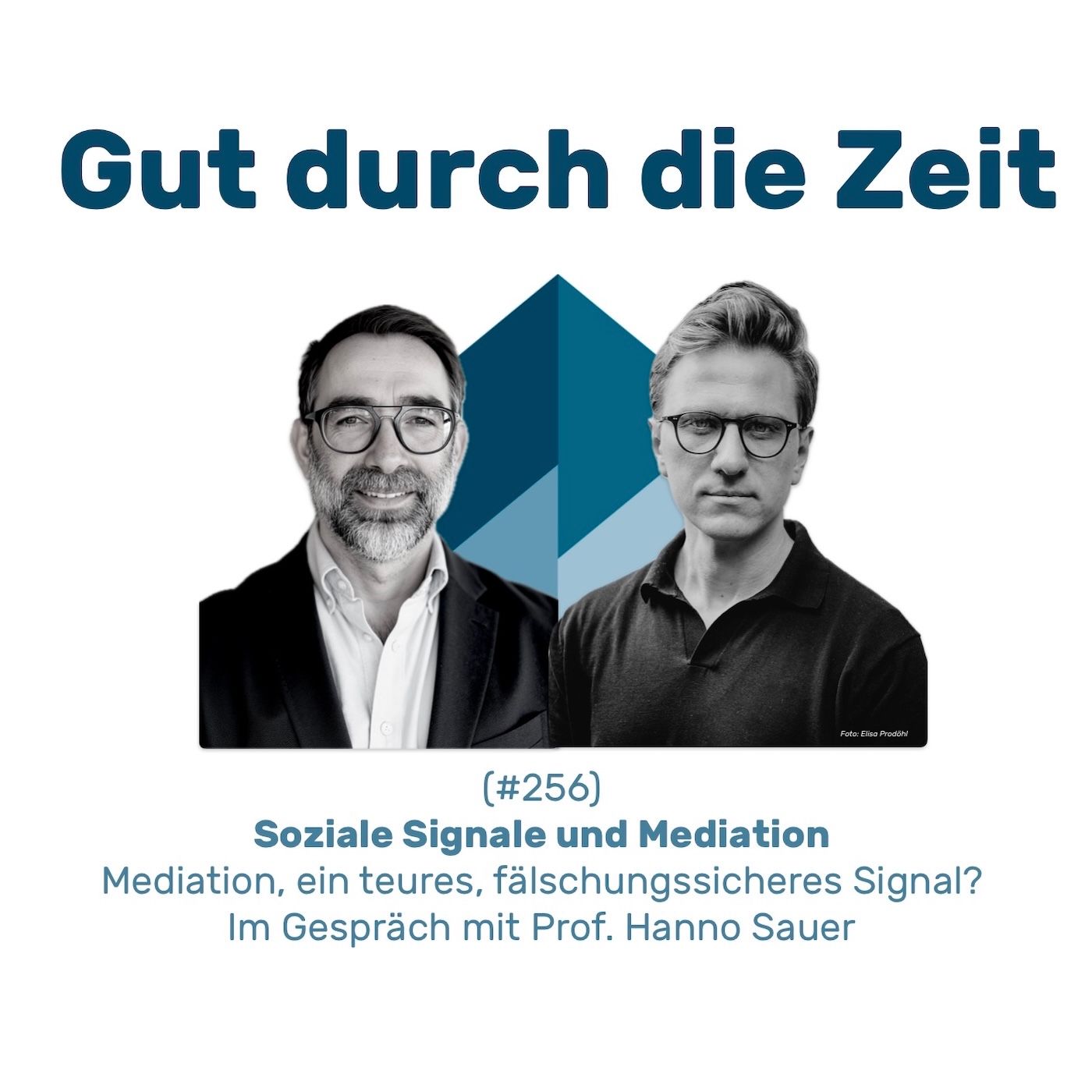 #256 GddZ - Soziale Signale und Mediation. Im Gespräch mit Prof. Hanno Sauer