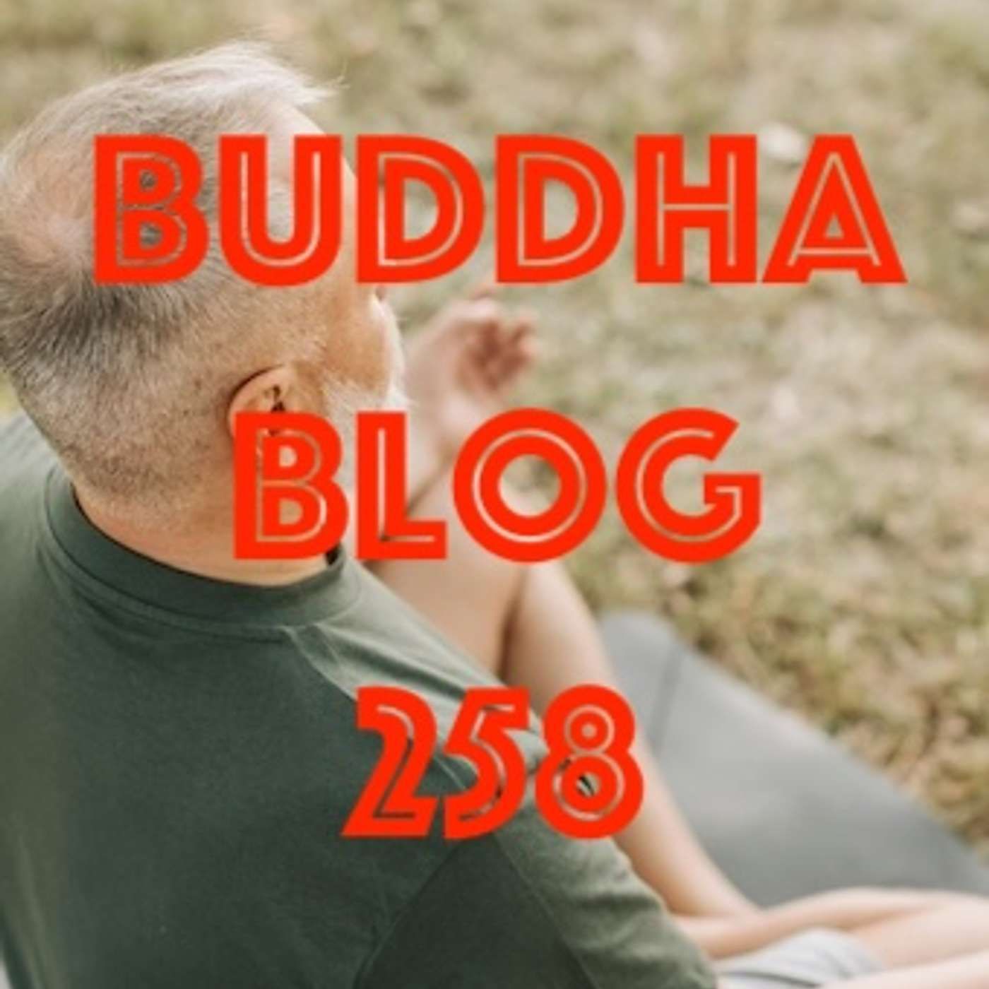 258-Meditation-Buddha Blog - Buddhismus im Alltag