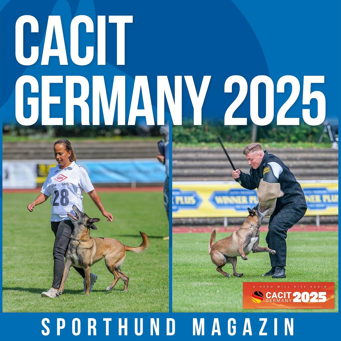#26: Cacit Germany 2025