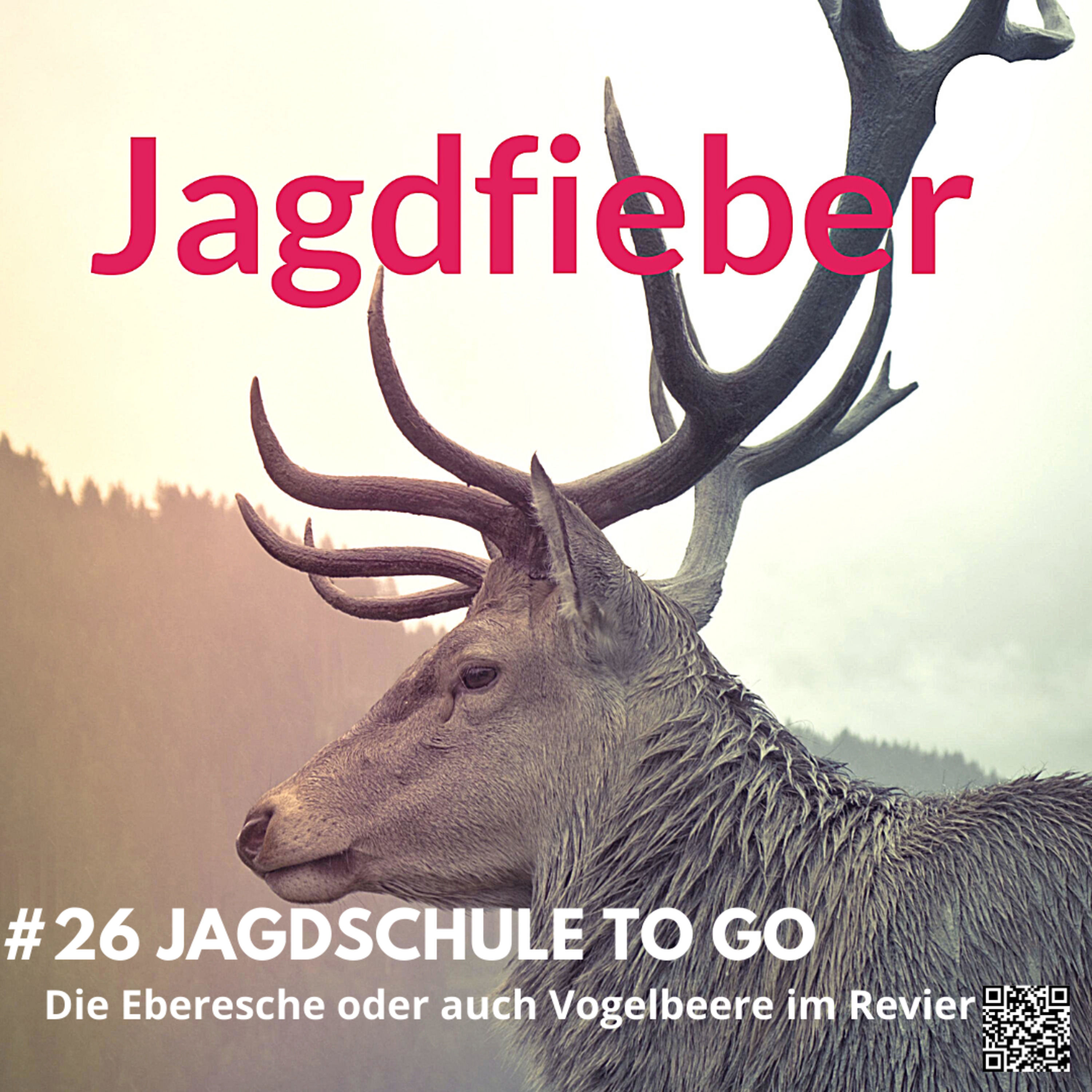 #26 Die Vogelbeere #hege #jagdfieberpodcast #jagdpodcast #jagdfieber #schalenwild #jagdundnatur #waldbau #sachsenjäger #hegeundjagd #jagdschule