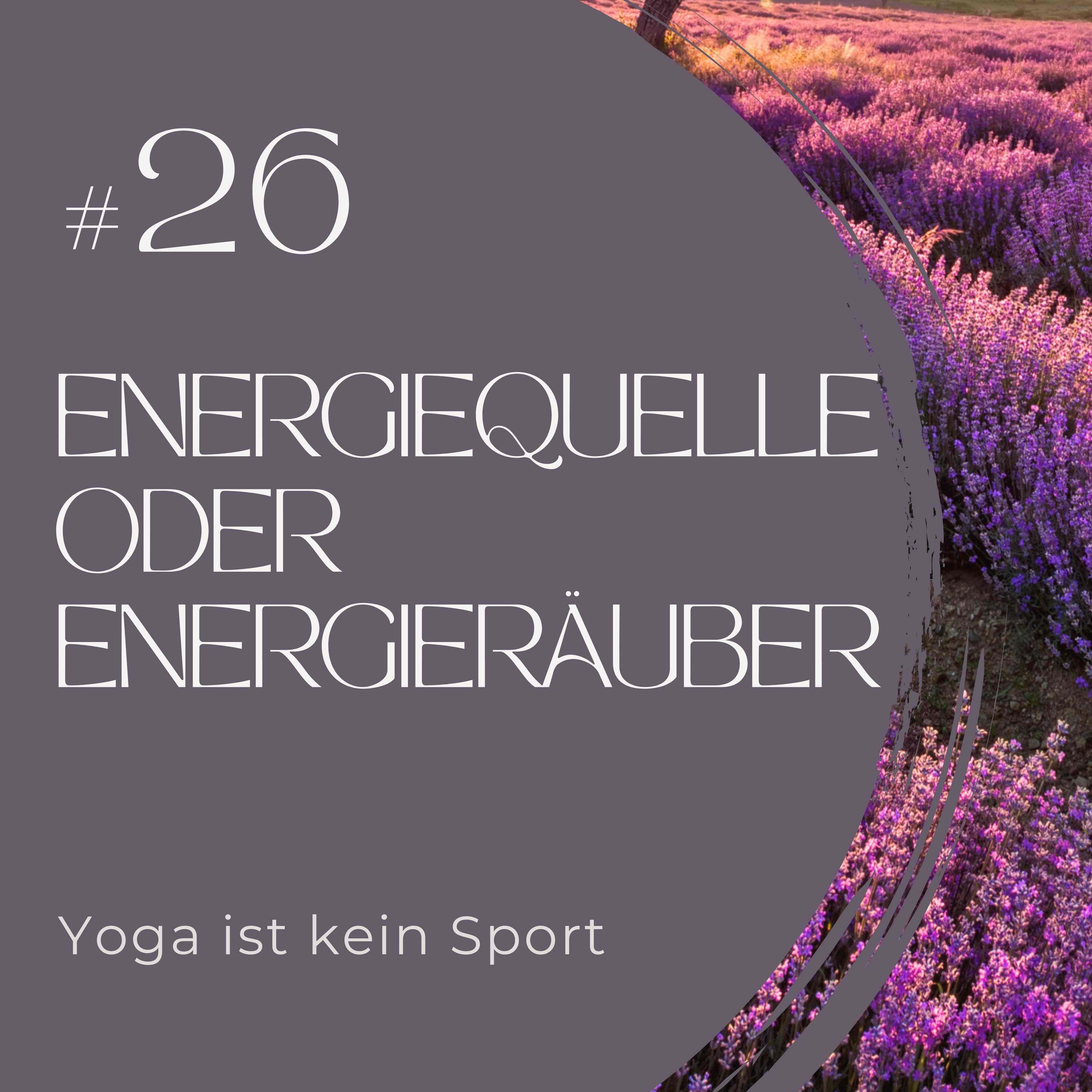 #26 Energiequelle oder Energieräuber 4/8