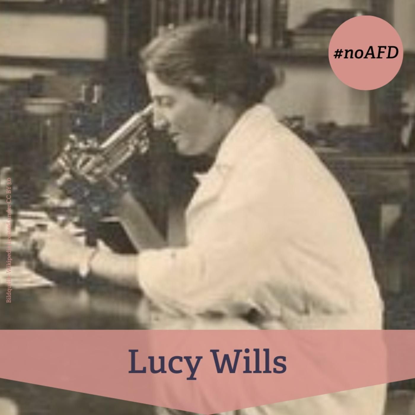 #262 Lucy Wills - britische Hämatologin und Namensgeberin des "Wills-Faktors"