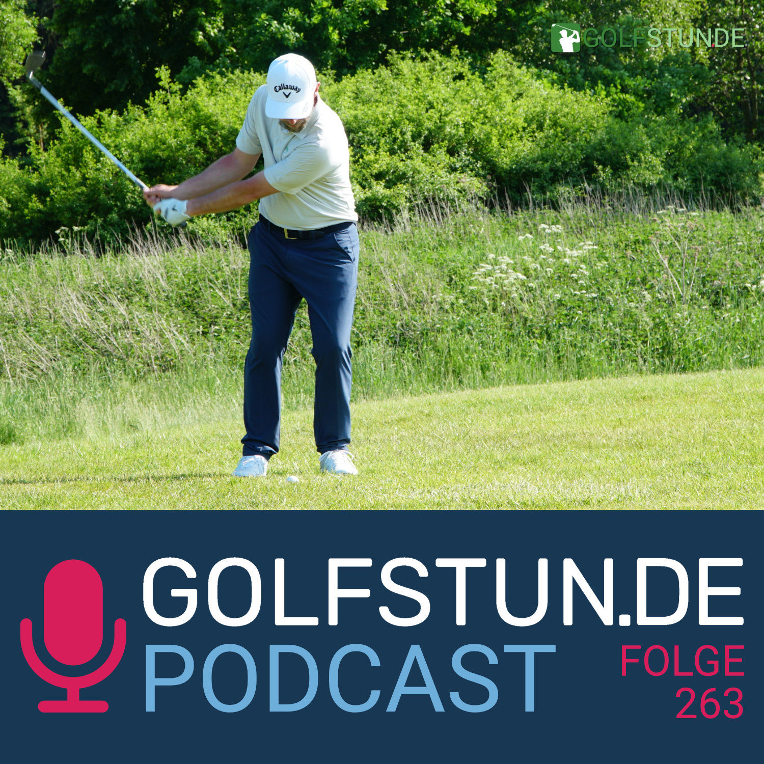 #263 Spiel mit den Wedges
