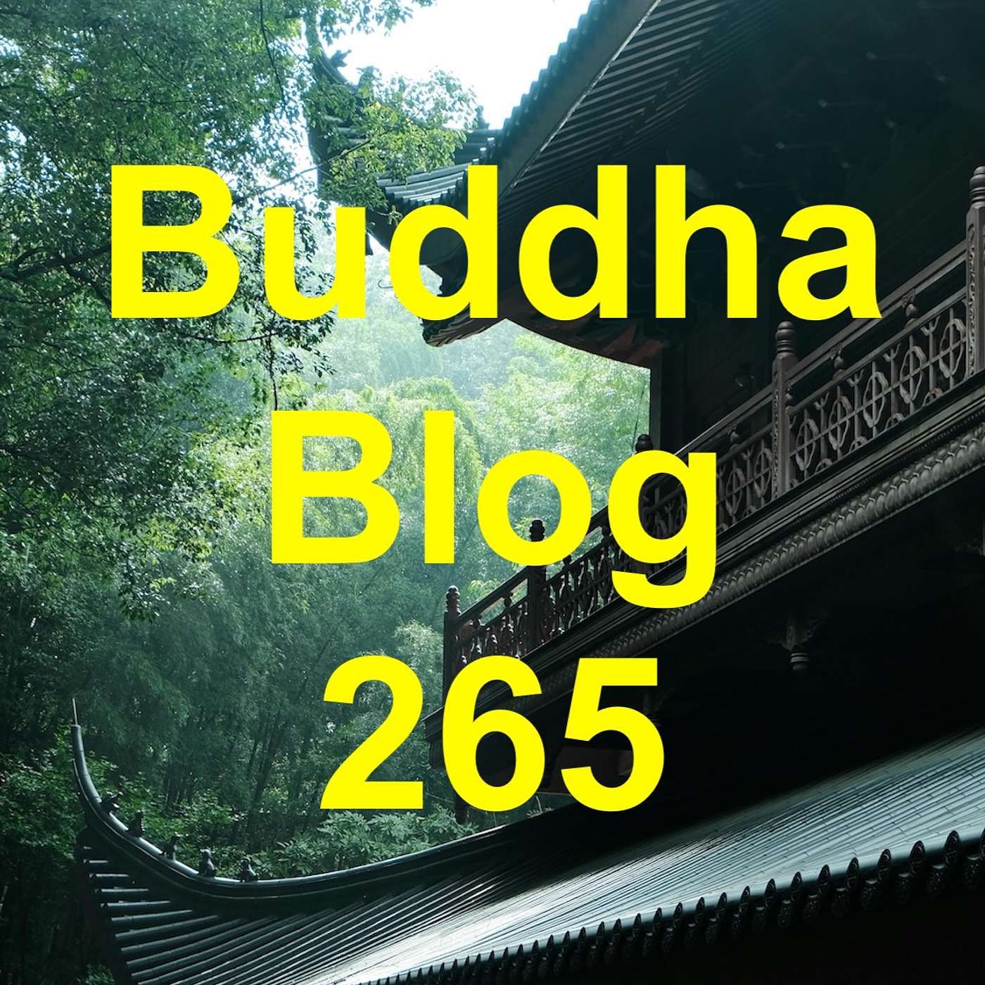 265-Leid durch Unwahrheit - Buddha Blog Podcast - Buddhismus im Alltag