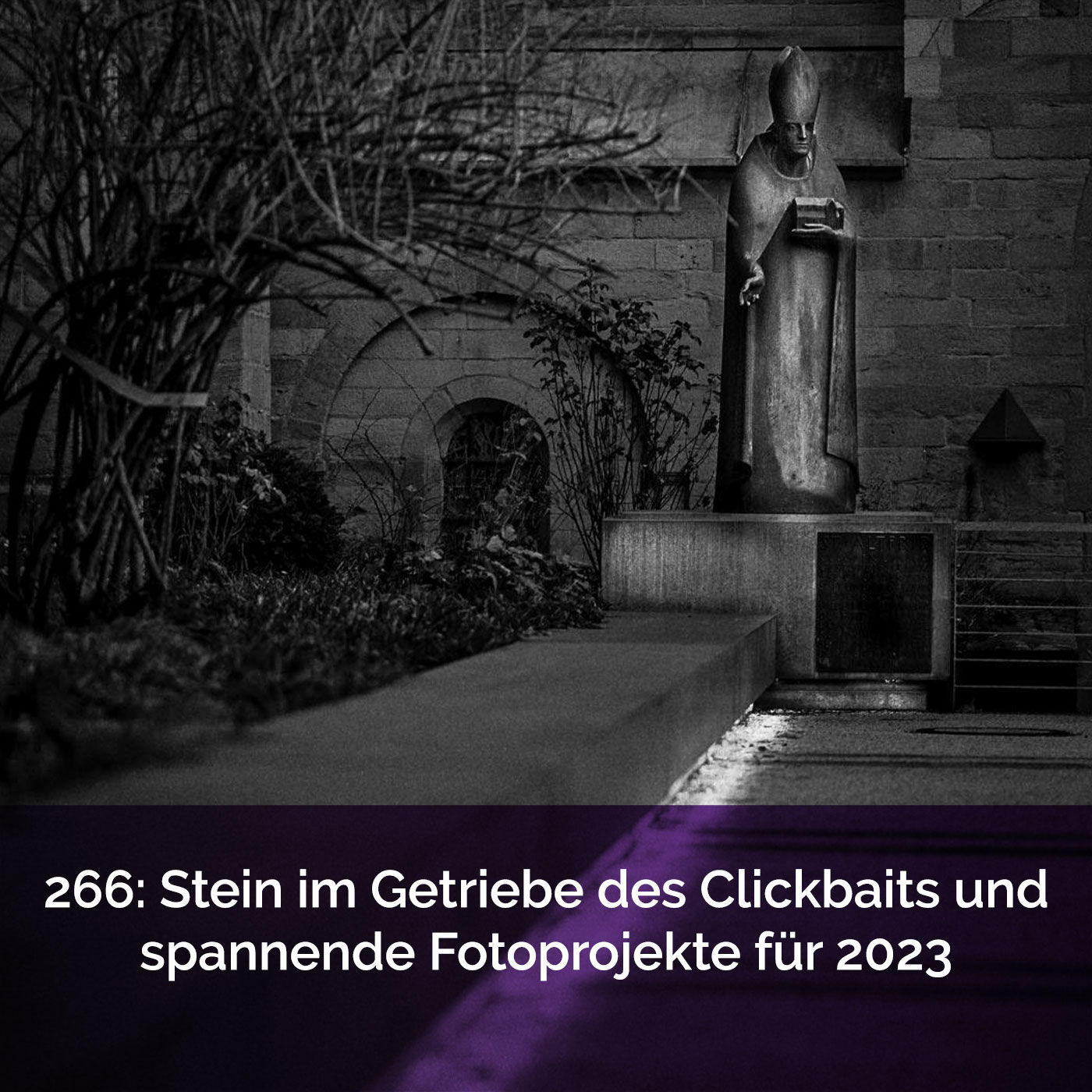 266: Stein im Getriebe des Clickbaits und spannende Fotoprojekte für 2023