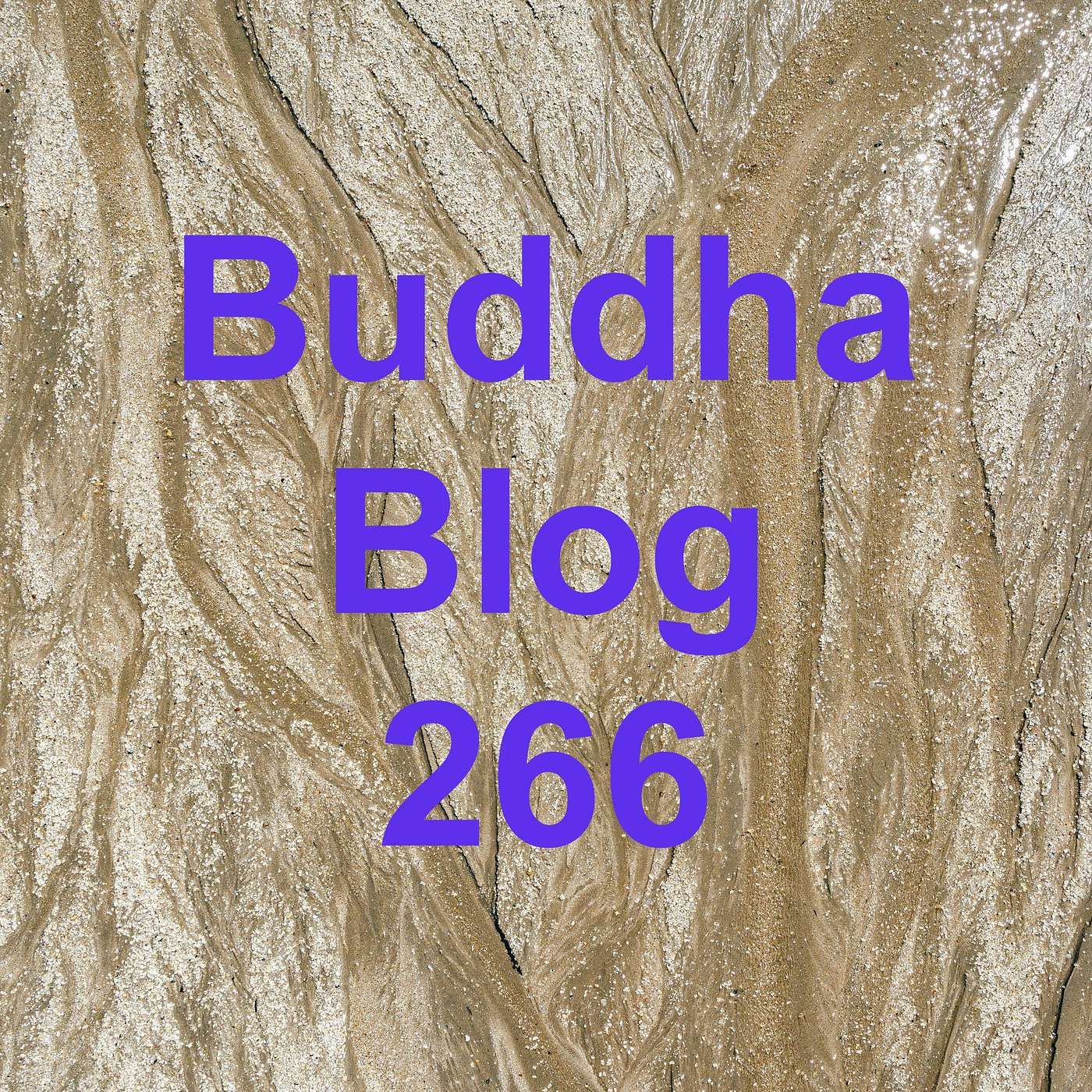 266-Visionen - Buddha Blog Podcast - Buddhismus im Alltag