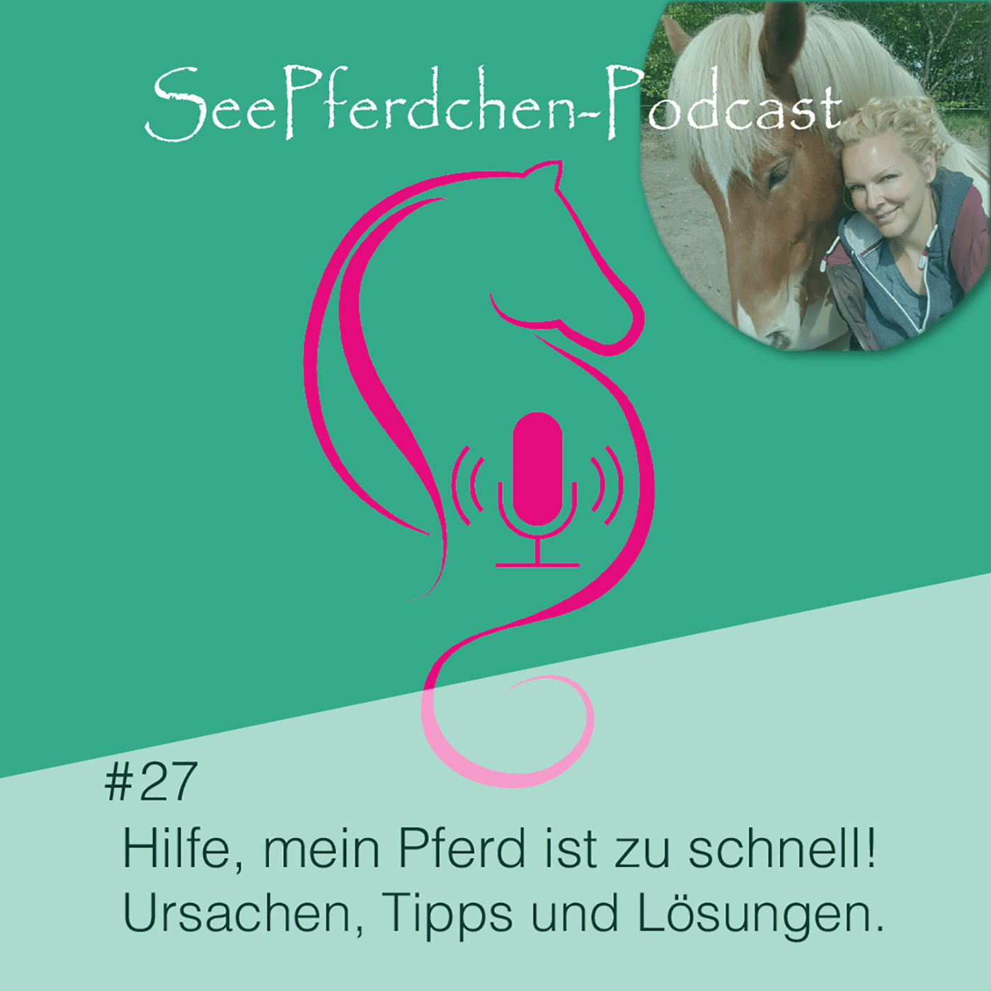 #27 │Hilfe, mein Pferd ist zu schnell