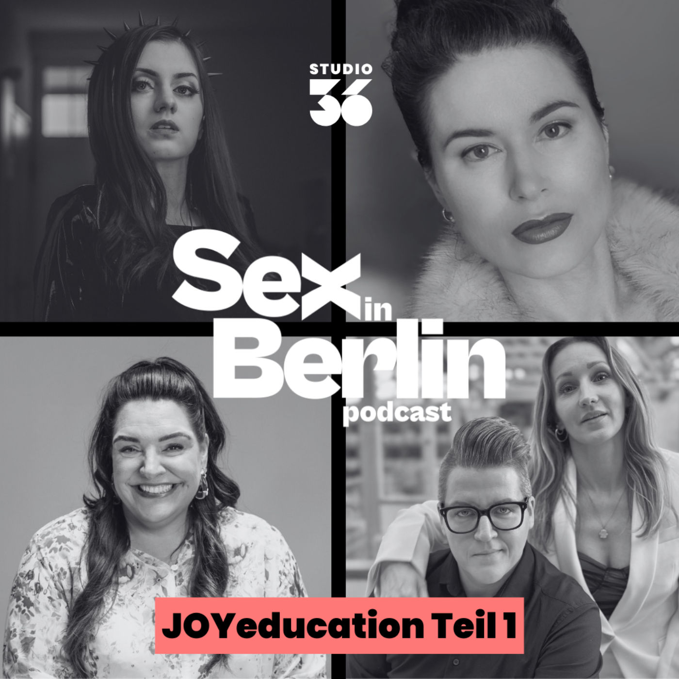#27 (Teil 1) Sex in Leipzig: Beim JOYclub-Sex-Education-Event