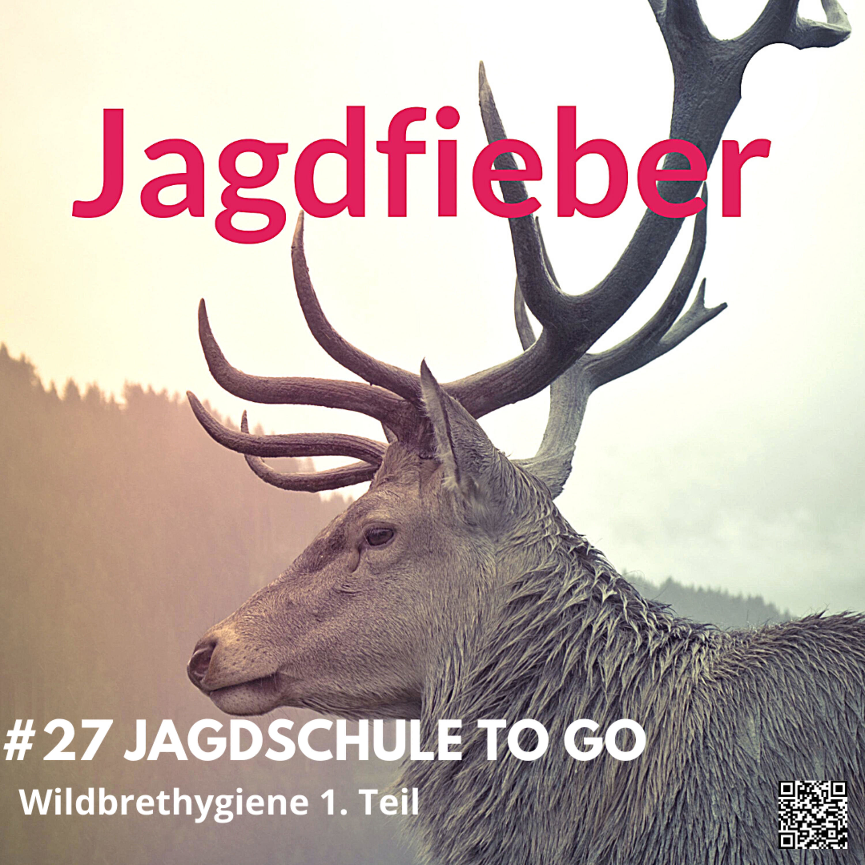#27 Wildbrethygiene #hege #jagdfieberpodcast #jagdpodcast #jagdfieber #schalenwild #jagdundnatur #wildbrethygiene #sachsenjäger #hegeundjagd #jagdschule #Lebensmittelrecht #kundigeperson #euverordnung