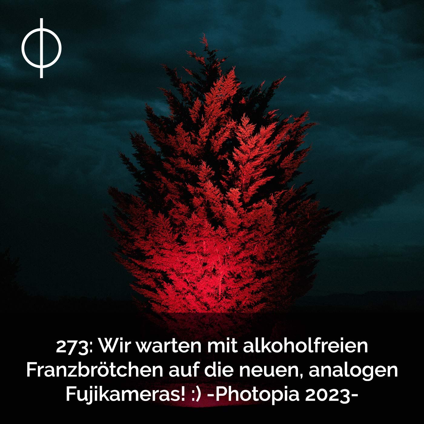 273: Wir warten mit alkoholfreien Franzbrötchen auf die neuen, analogen Fuji-Kameras!