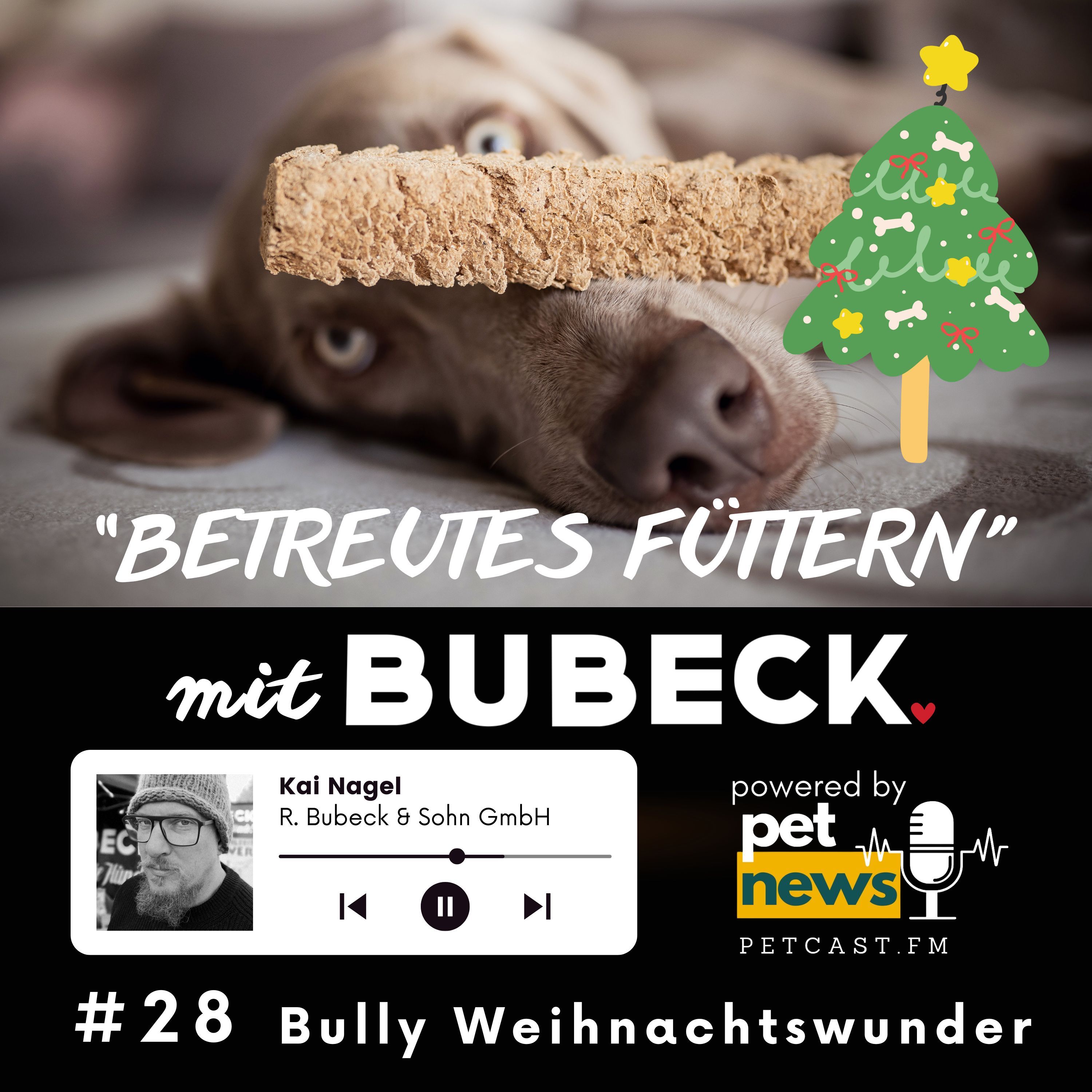 #28 - Das Bully Weihnachtswunder