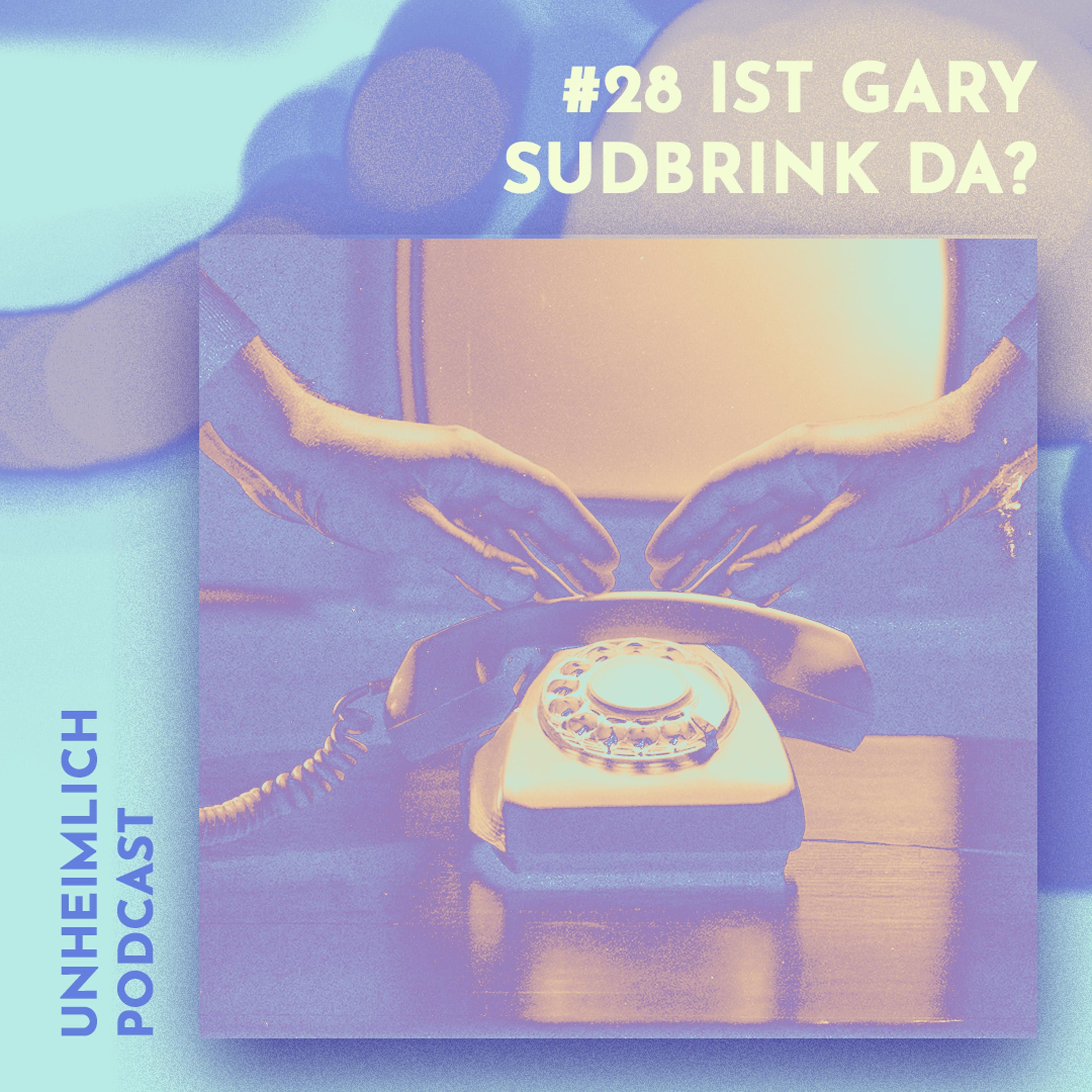 #28 Hallo? Ist Gary Sudbrink da? Aliens am Apparat oder die men in black?