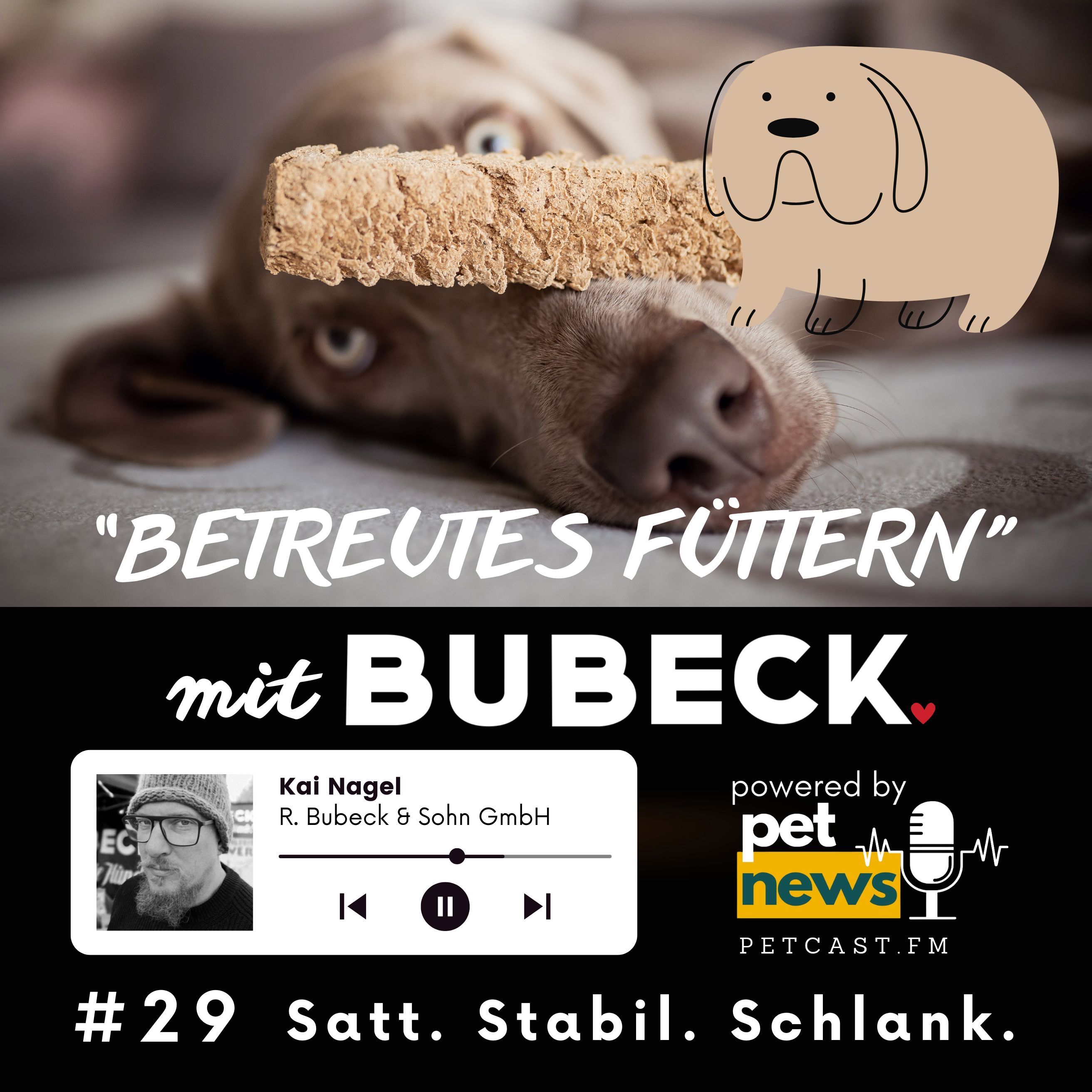 #29 - Satt, stabil, schlank – der Bubeck-Effekt