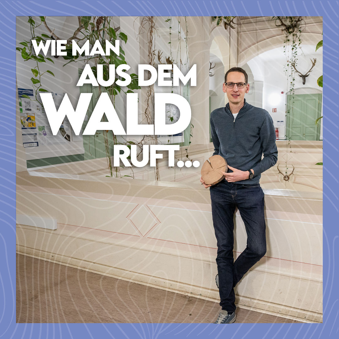 #29 Was verraten uns Jahrringe?