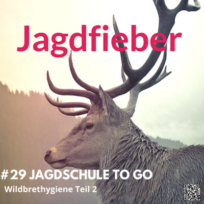 #29 Wildbrethygiene 2 #hege #jagdfieberpodcast #jagdpodcast #jagdfieber #Trichine #jagdundnatur #wildbrethygiene #sachsenjäger #hegeundjagd #jagdschule #Lebensmittelrecht #kundigeperson #schwarzwild
