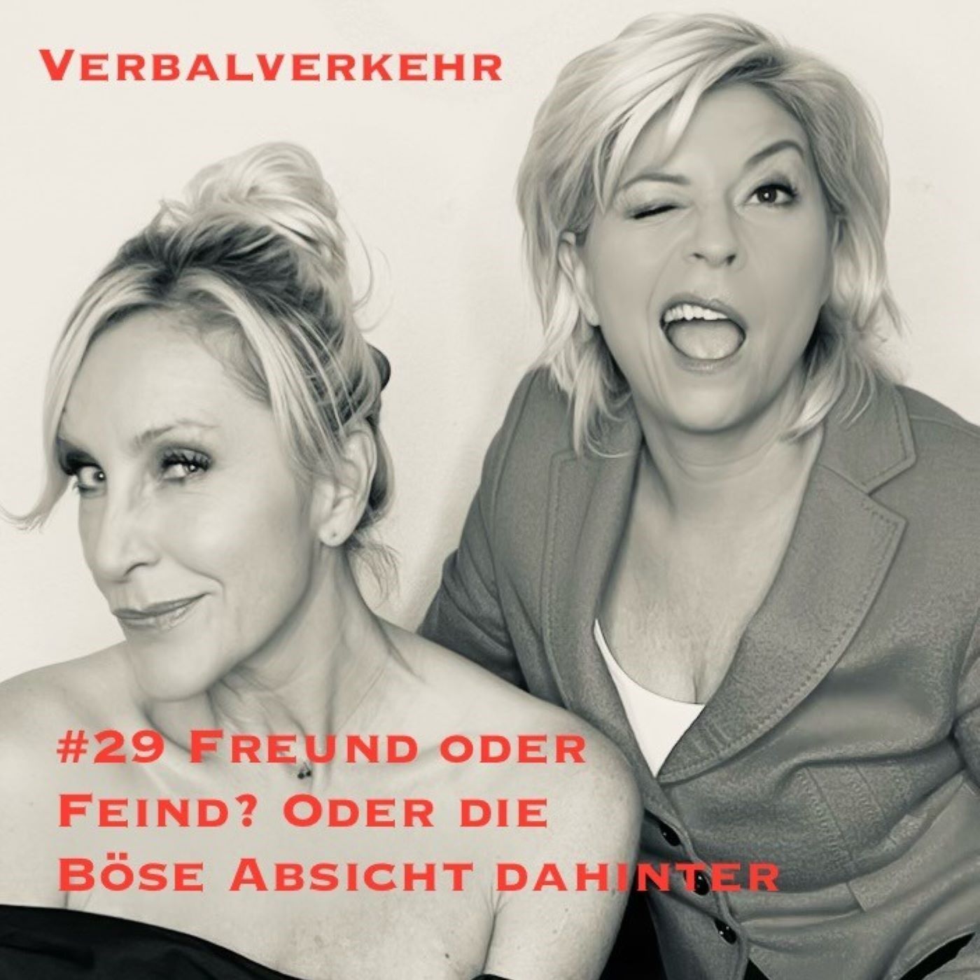 #29VERBALVERKEHR - Freund oder Feind? Und die böse Absicht dahinter