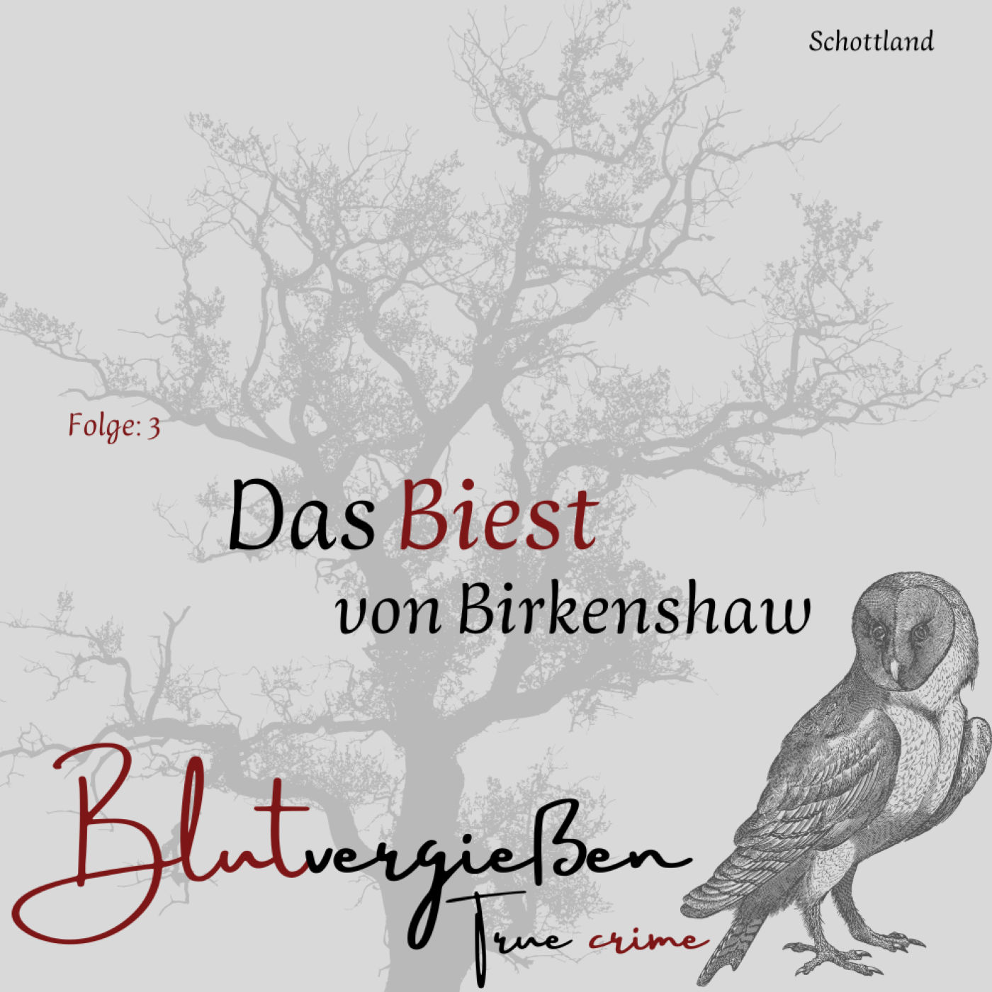 #3 Peter M. - Das Biest von Birkenshaw