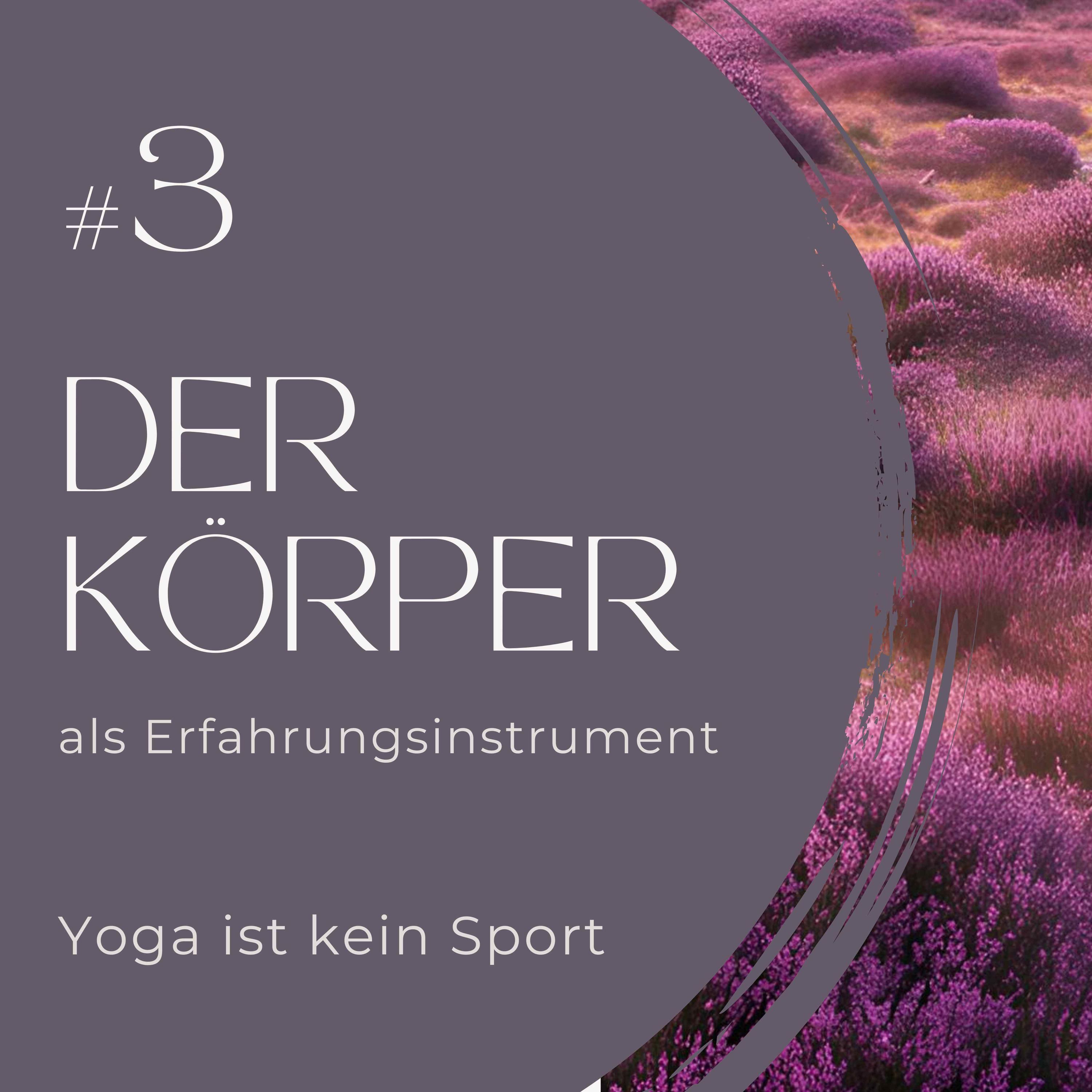 #3 Der Körper als Erfahrungsinstrument