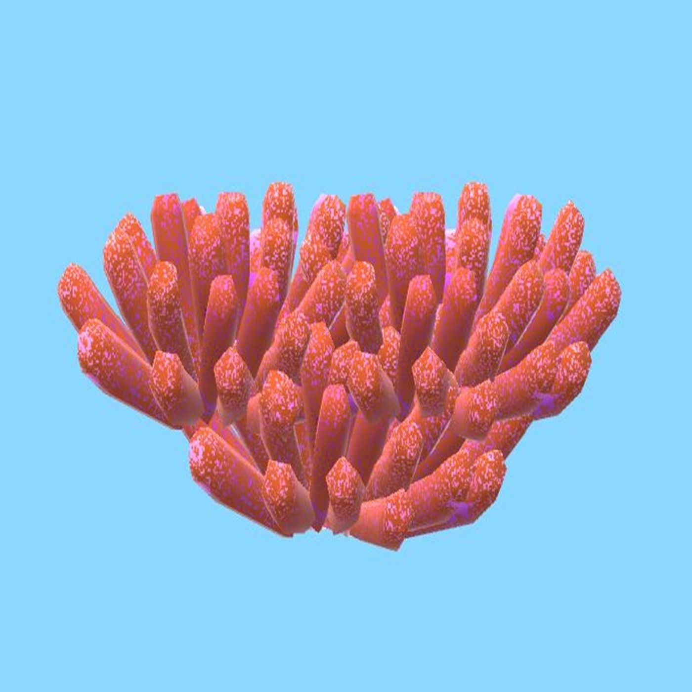 3 - Die Orange-Kraft-Zauberkoralle