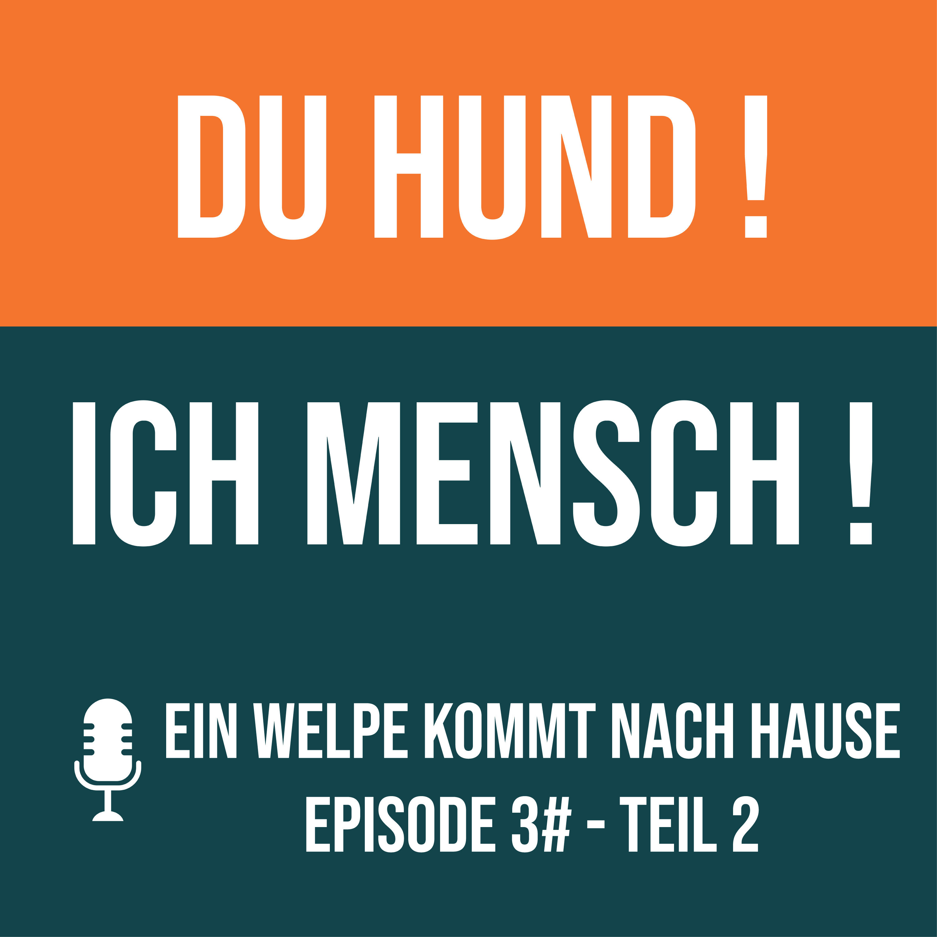 3# Ein Welpe kommt nach Hause - Teil 2