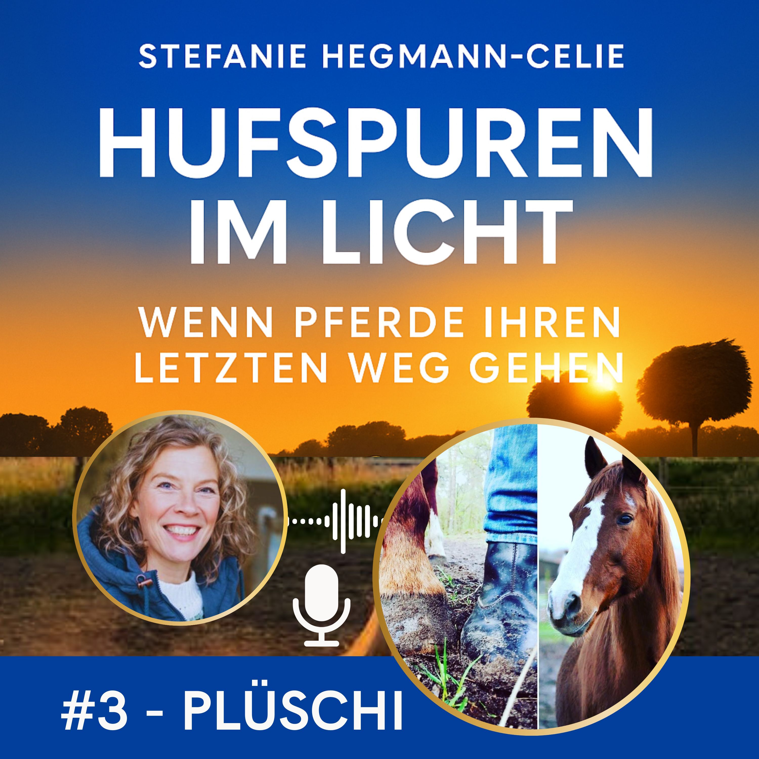 #3 - Plüschi: Eine tiefe Seelenverbindung, die weiterlebt.