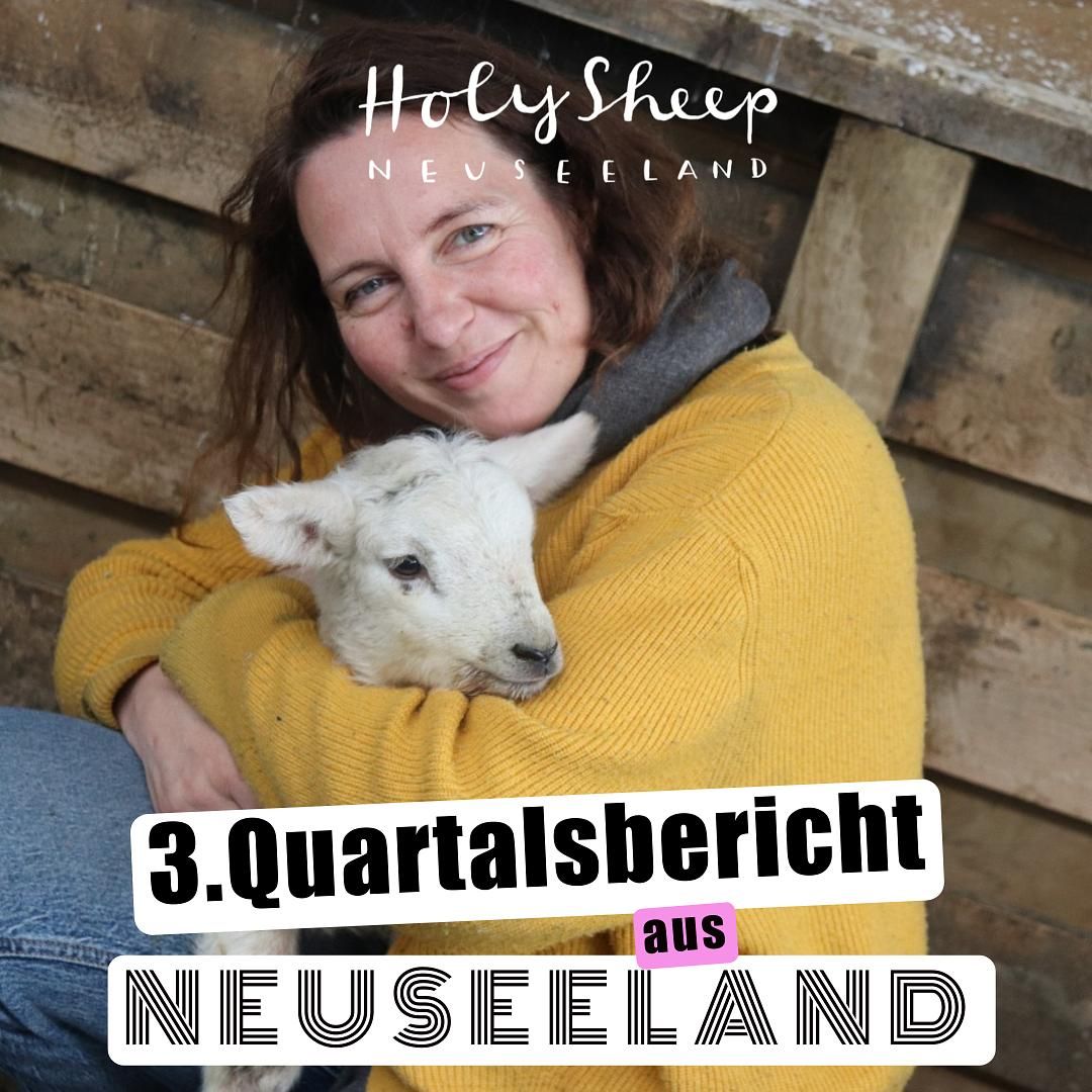 3. Quartalsbericht: Kultur, Crime, Business und 2000 Lämmchen