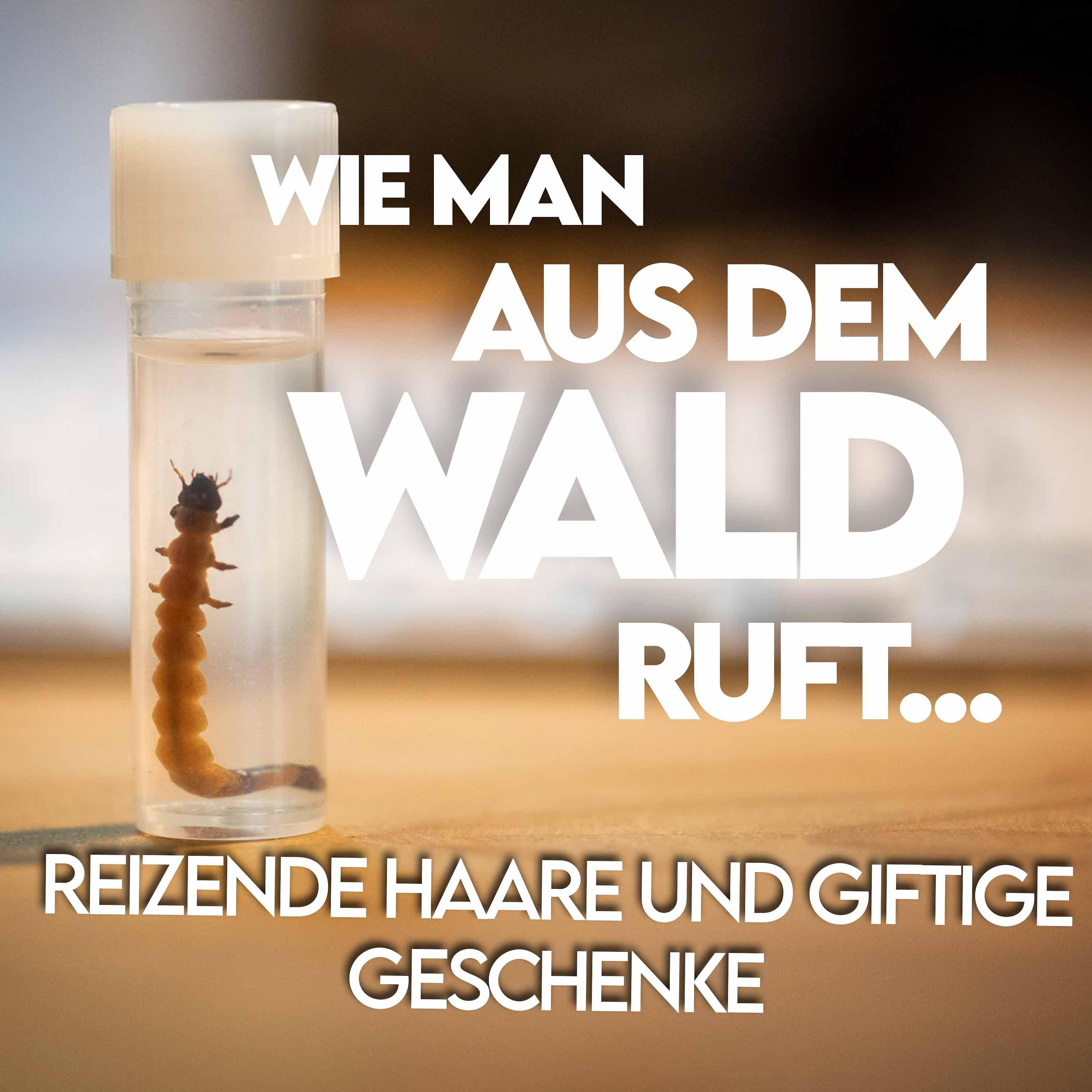 #3 Reizende Haare und giftige Geschenke