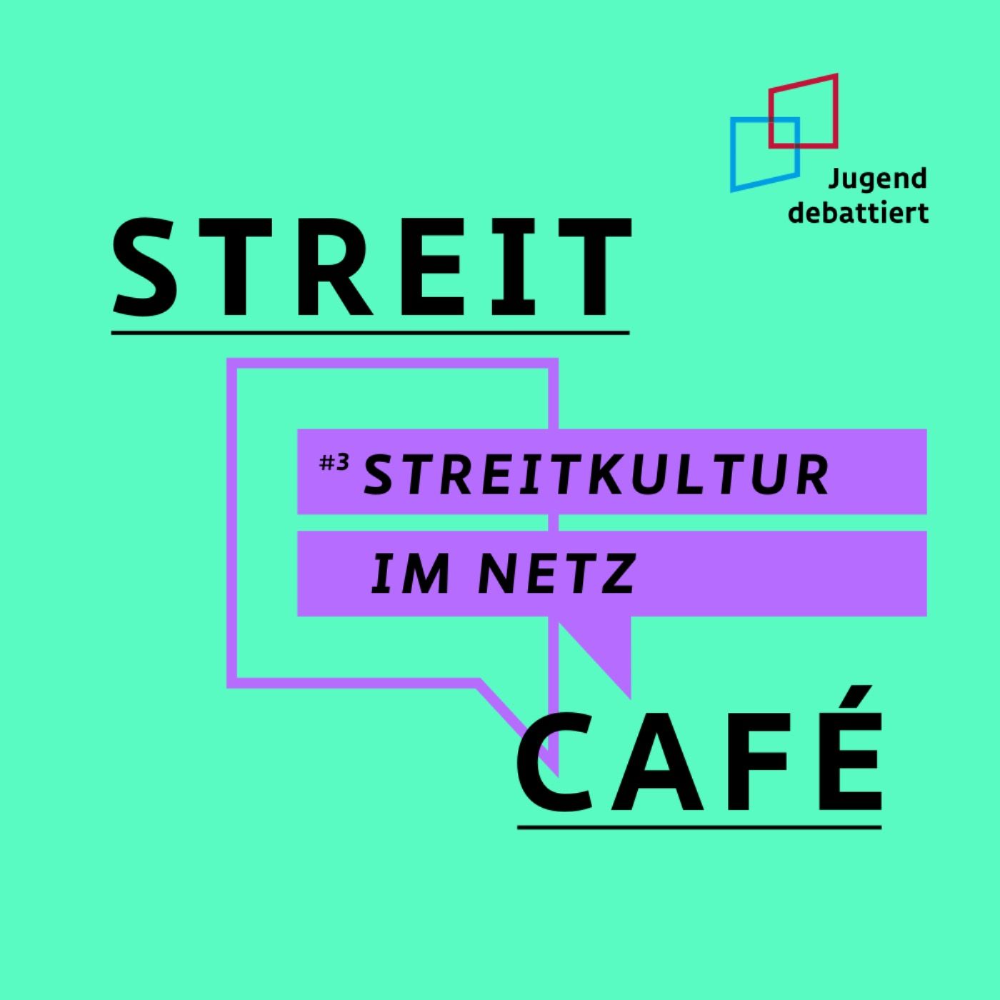 #3 Streitkultur im Netz