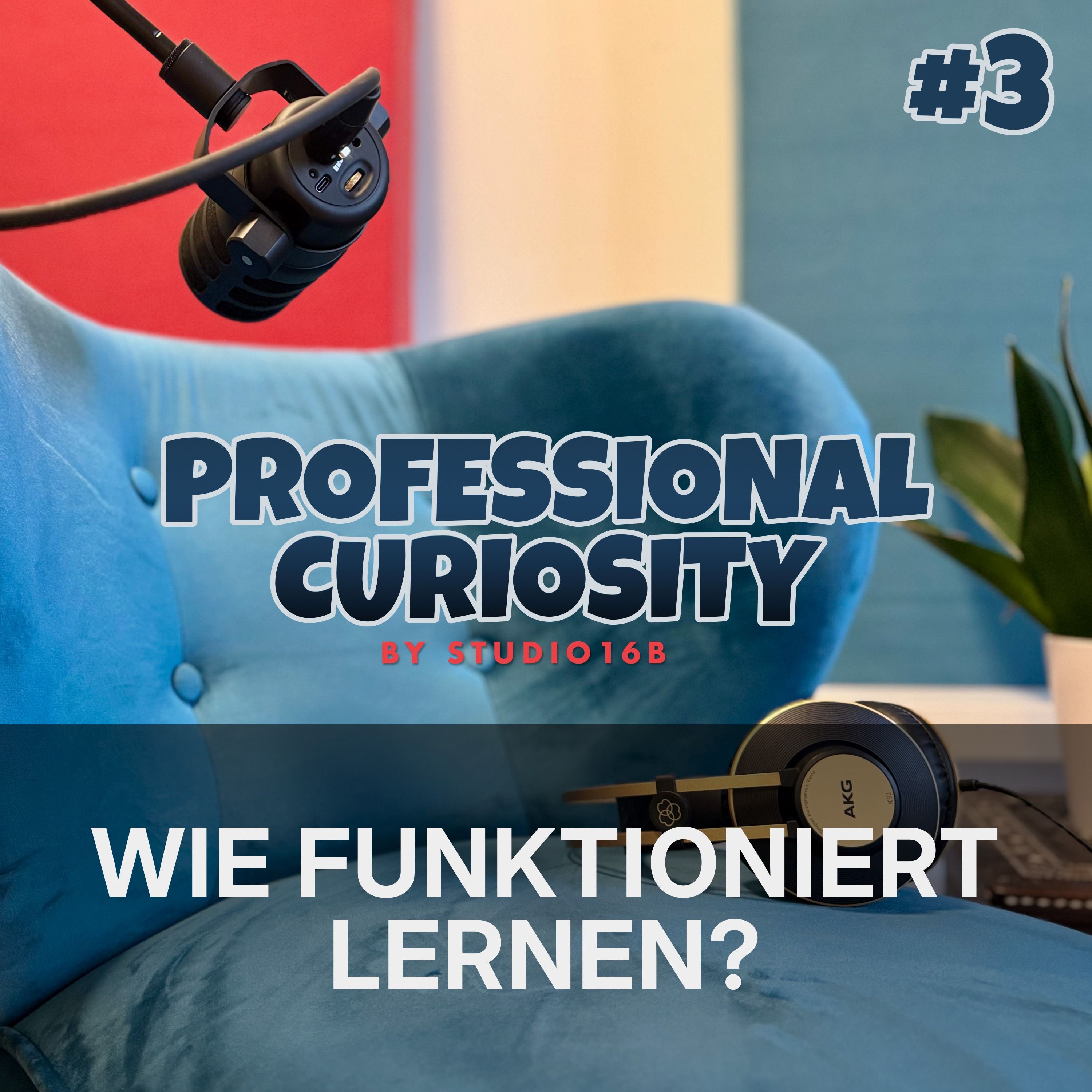 #3 - Wie funktioniert Lernen?