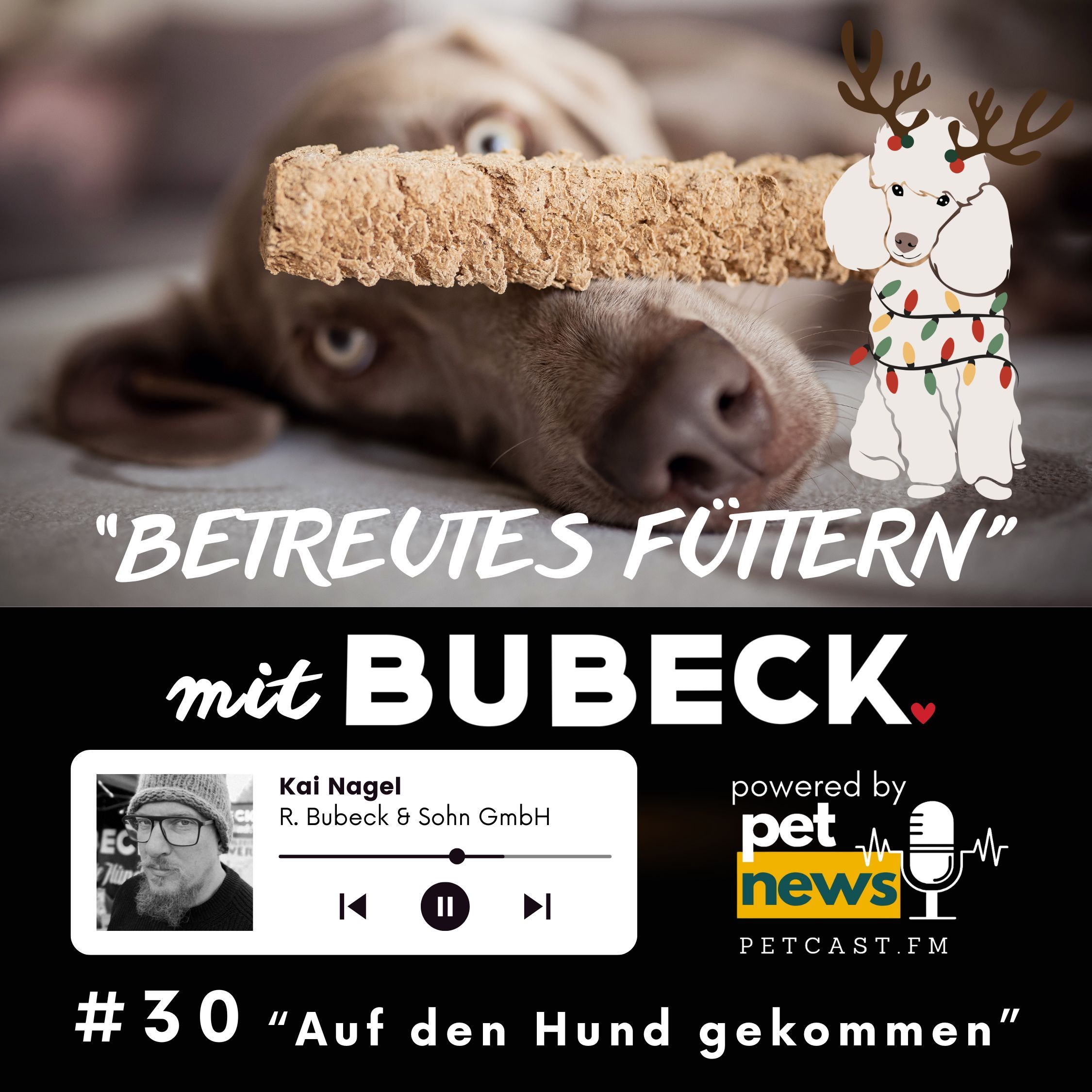 #30 - Auf den Hund gekommen