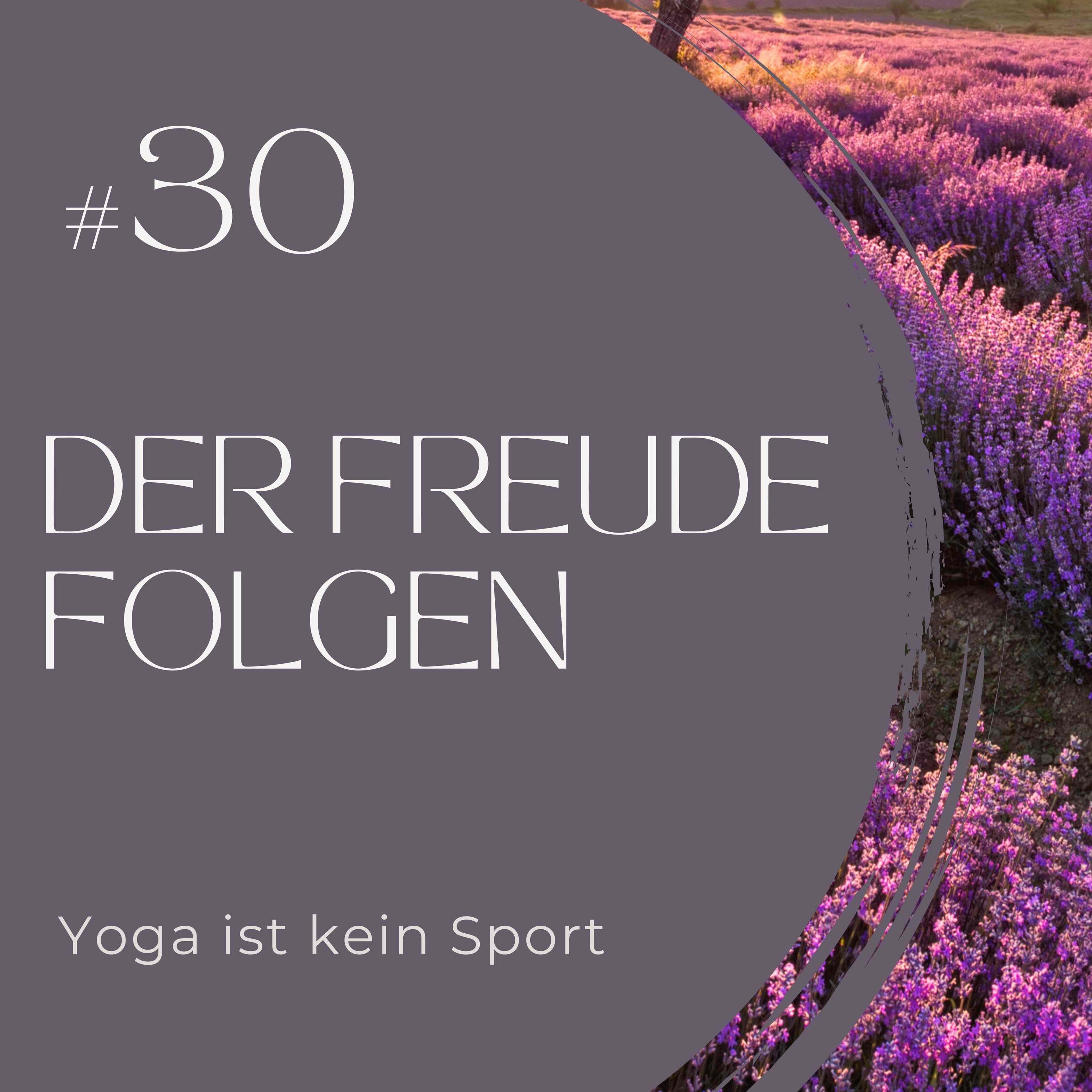 #30 Der Freude folgen 8/8