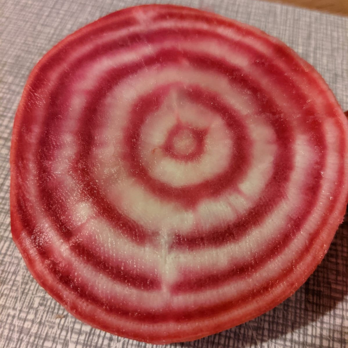 #30 Nachhaltigkeitstipps für das Jahr 2021