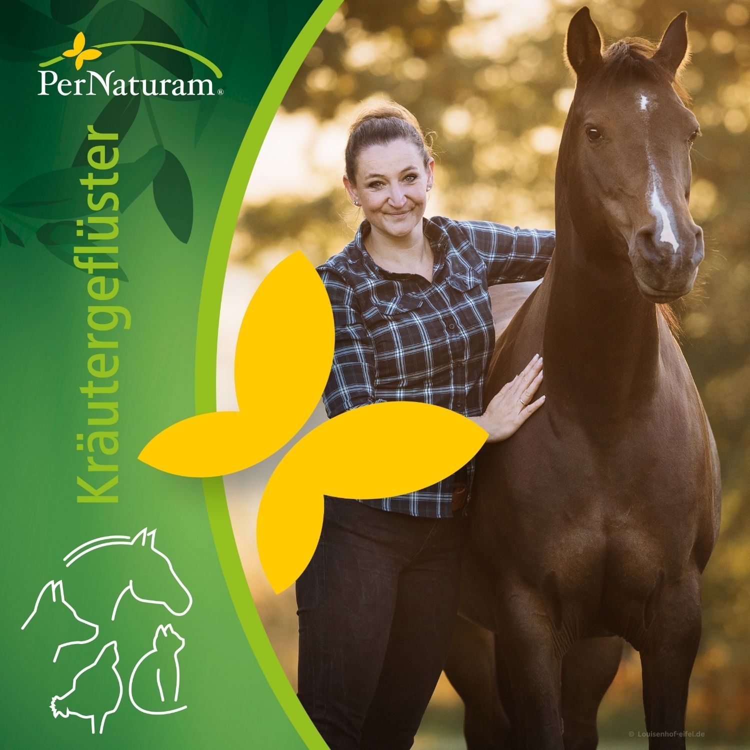 30 Pferde, Kräutertees - und Waltraud