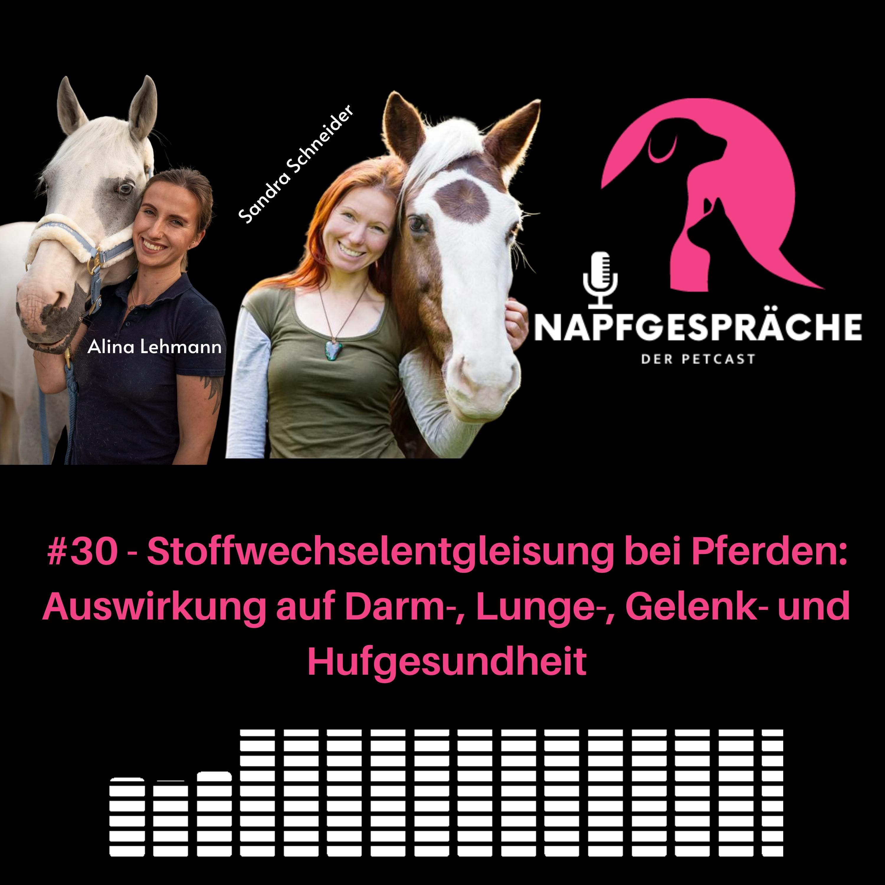 #30 - Stoffwechselentgleisung bei Pferden: Auswirkung auf Darm-, Lunge- Gelenk- und Hufgesundheit