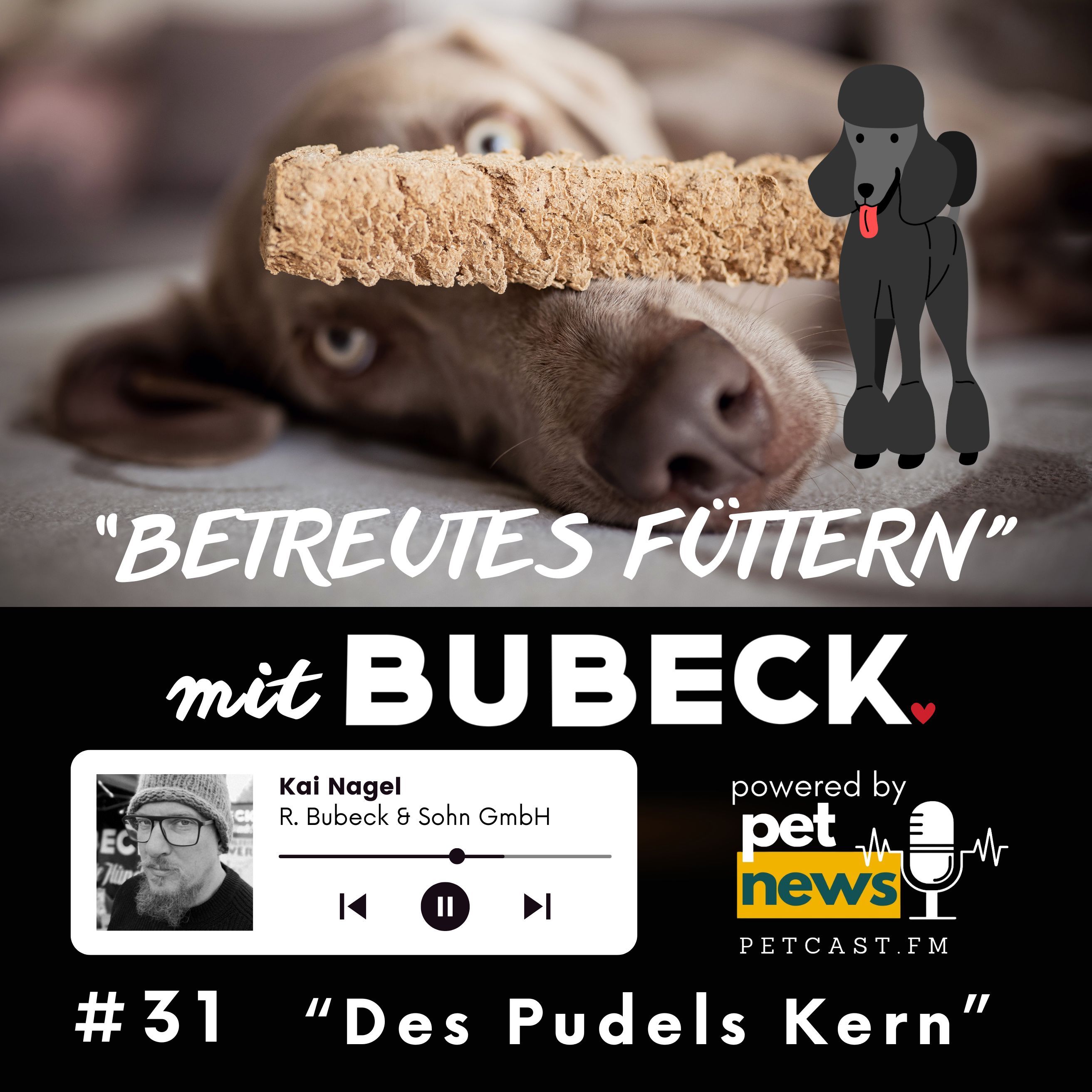 #31 - Des Pudels Kern