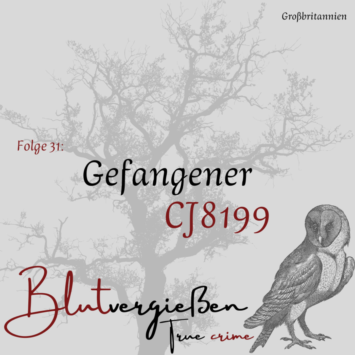 #31 Harold S. - Gefangener CJ8199