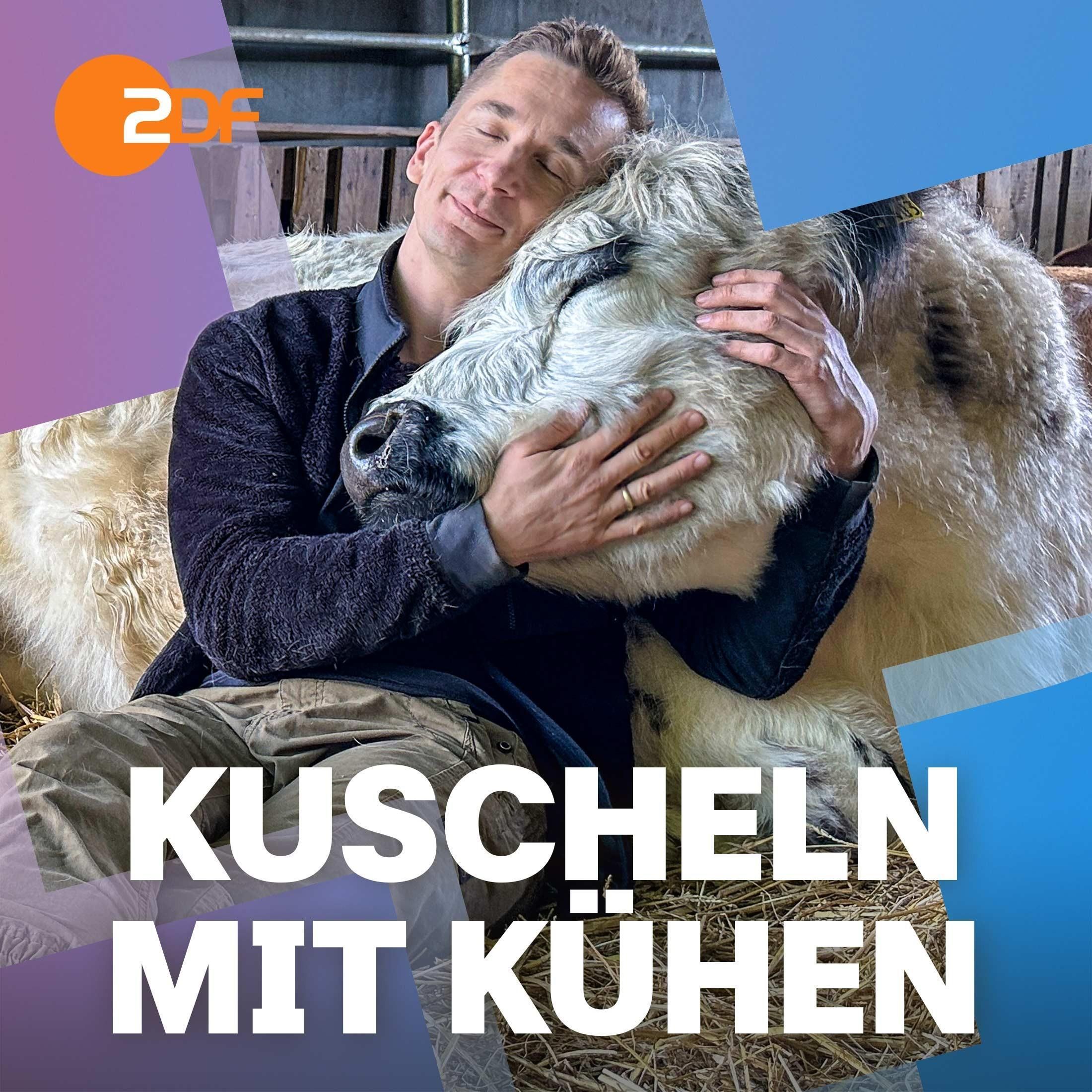 31| Kuscheln mit Kühen: Darum macht es sie (und Eric) glücklich