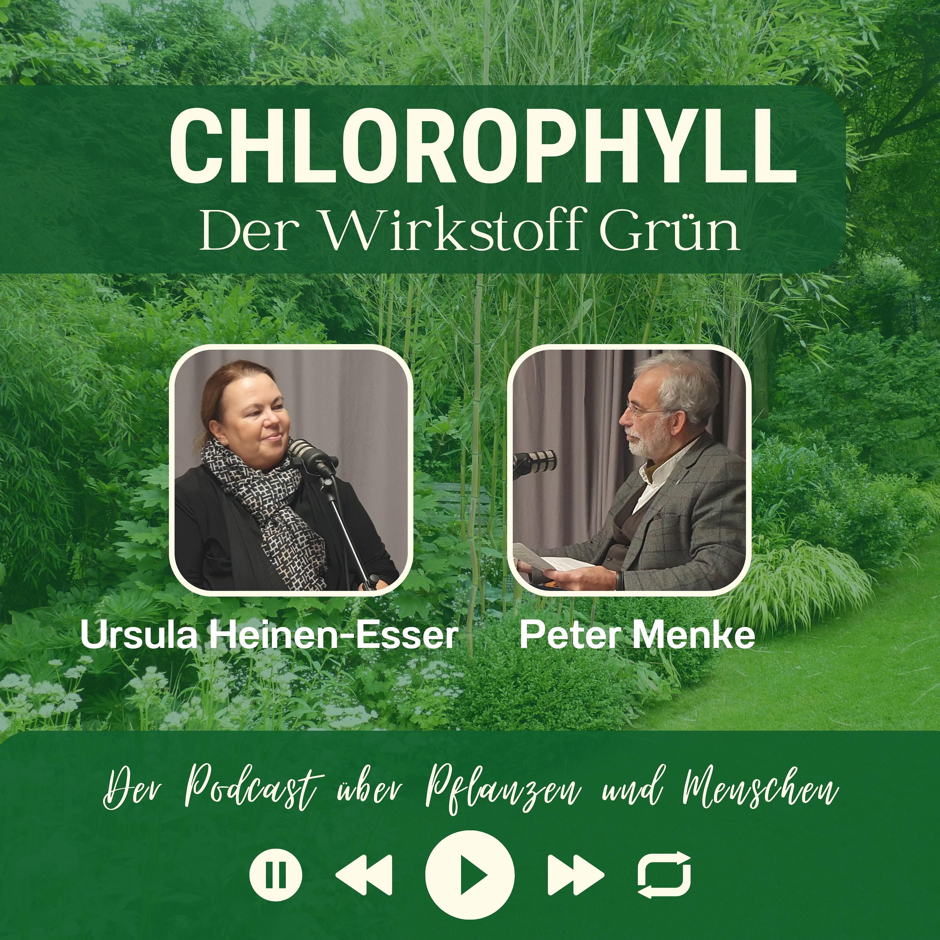 # 32 - Ursula Heinen-Esser (Schutzgemeinschaft Deutscher Wald)