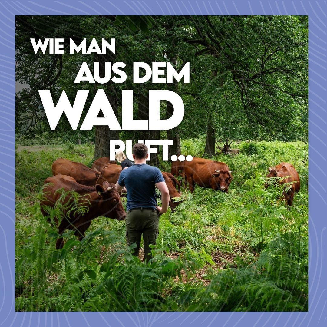 #32 Wie ging es weiter mit dem Hutewald?