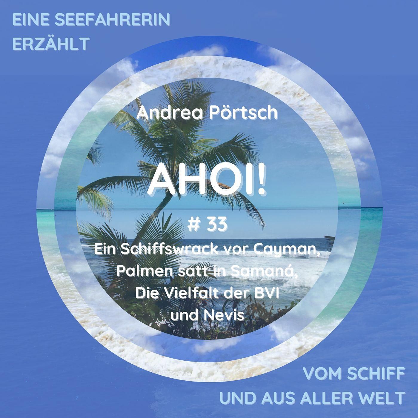 # 33 Ein Schiffwrack vor Grand Cayman, Palmen satt in Samaná, Die Vielfalt der Britischen Jungferninseln und ein Kurztrip nach Nevis