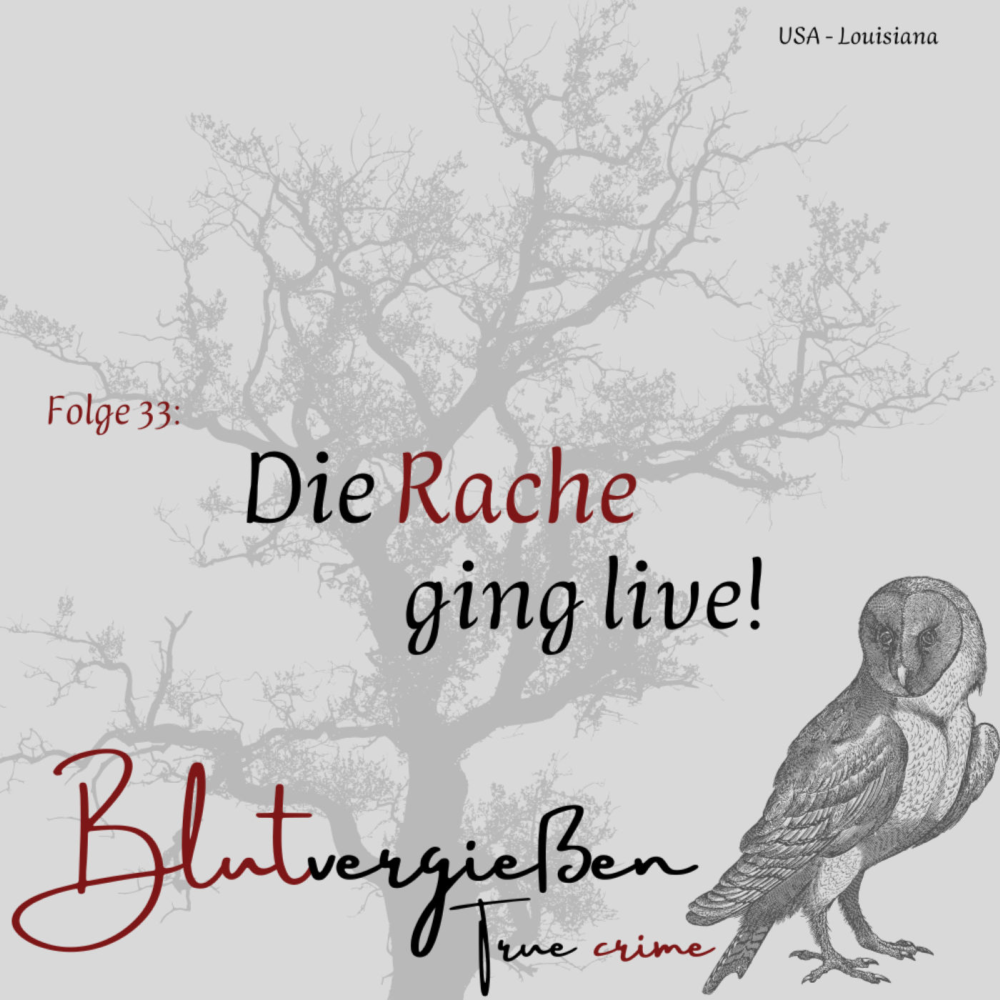 #33 Jeffrey Paul D. - Die Rache ging live!