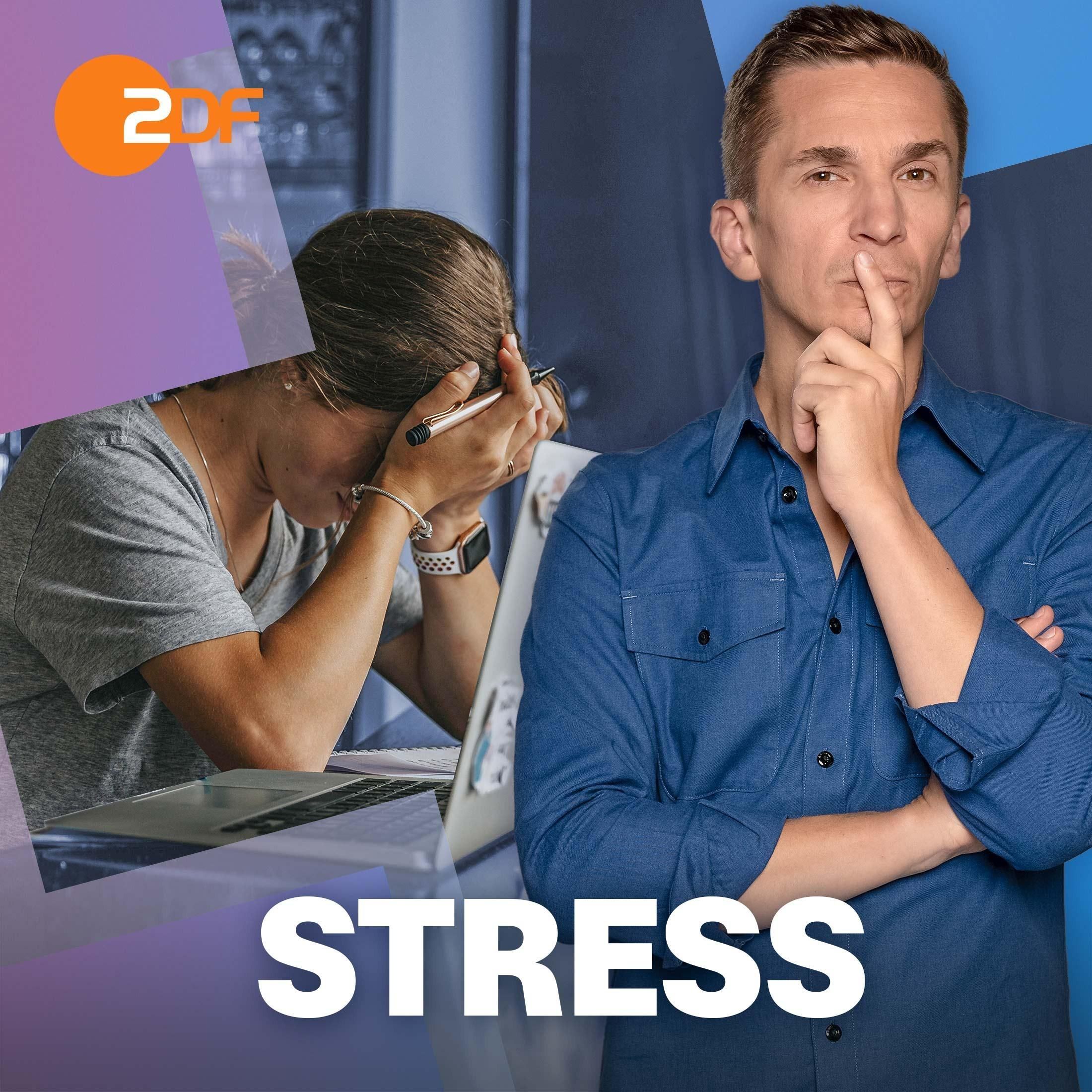 33| Stress: So macht er dich (nicht) krank