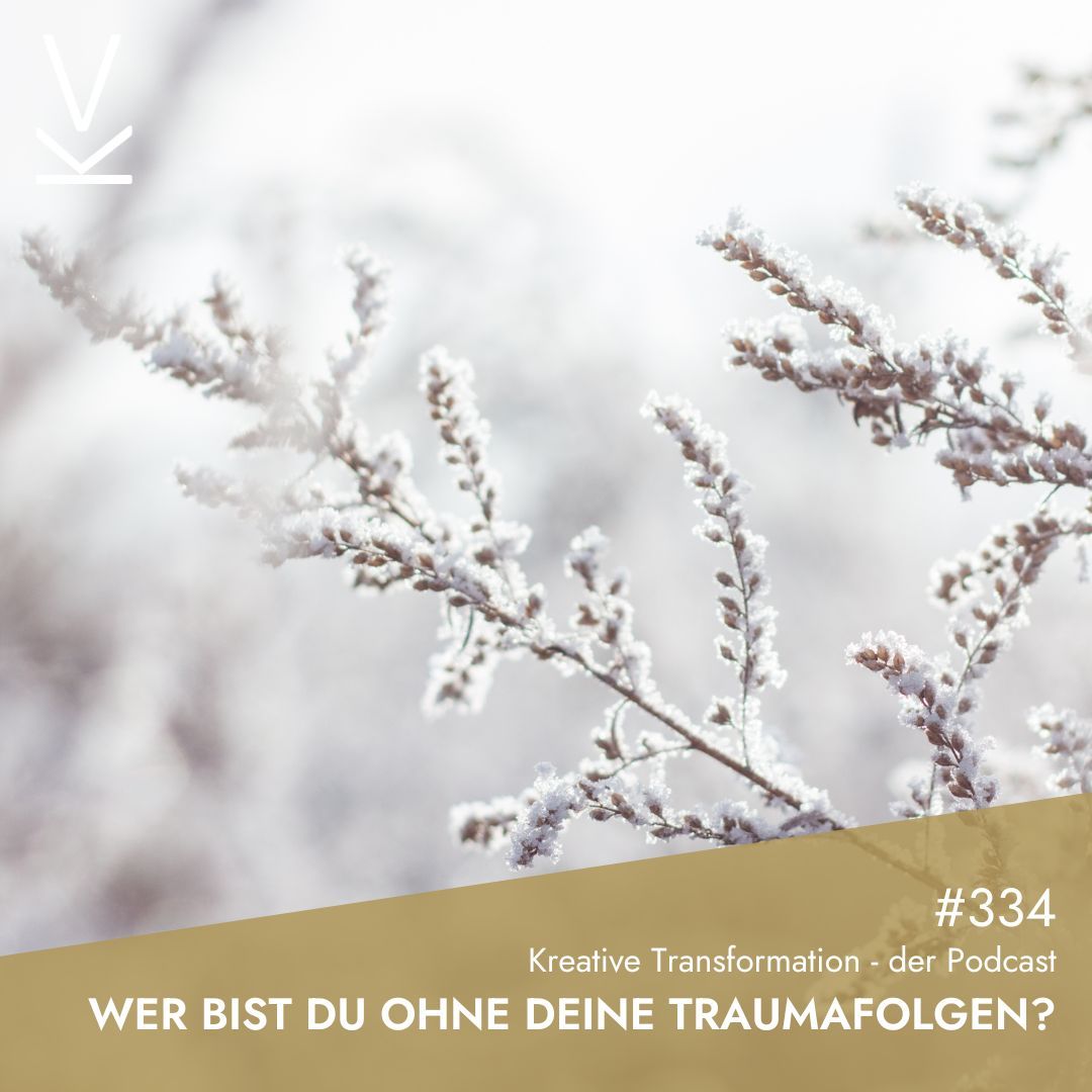 #334 Wer bist du ohne deine Traumafolgen?