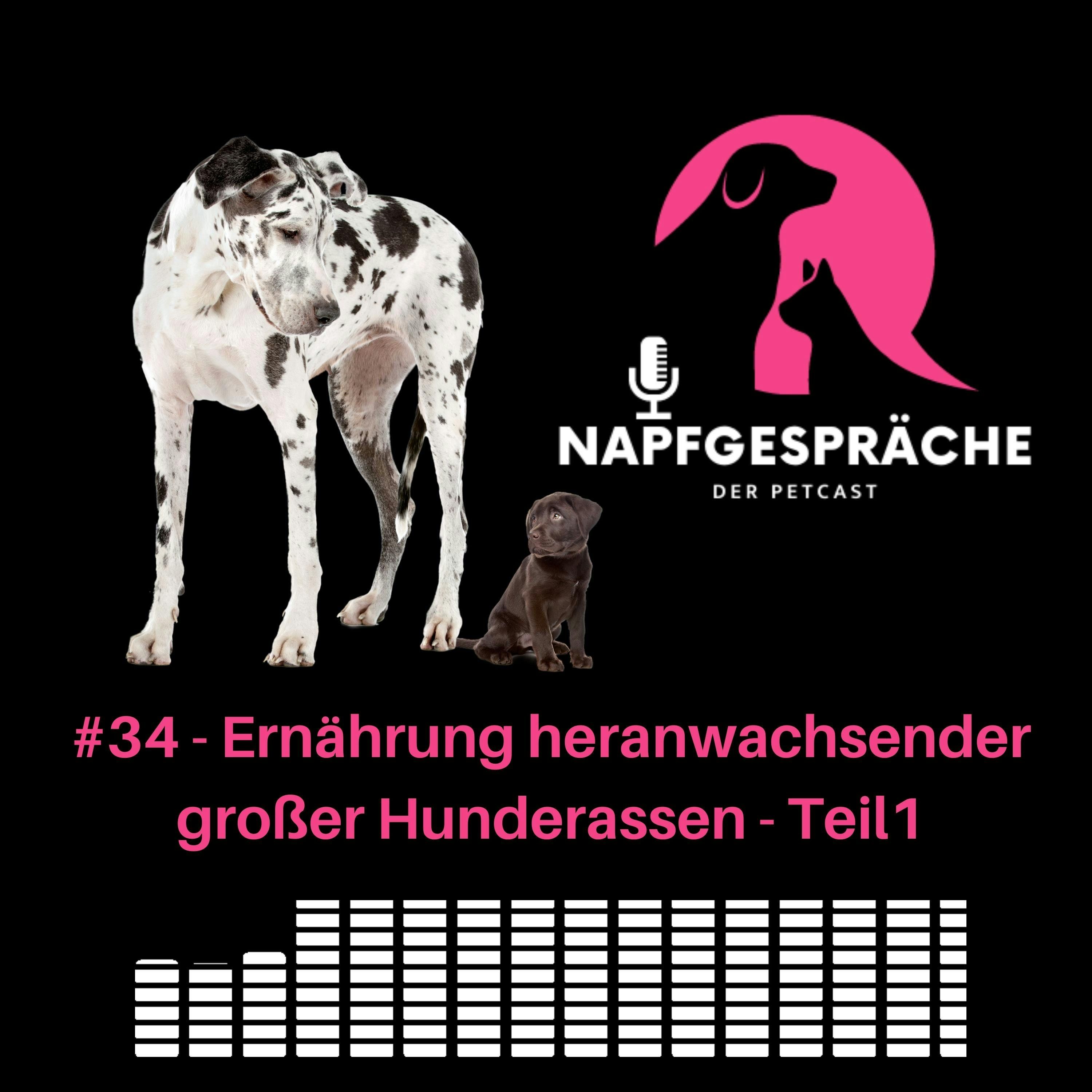 #34 - Ernährung heranwachsender großer Hunderassen - Teil1