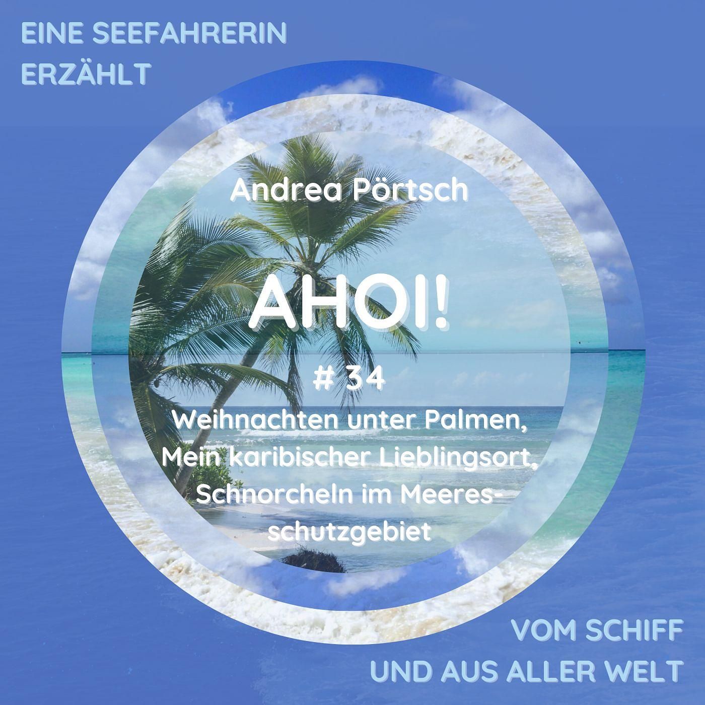 # 34 Weihnachten unter Palmen, Mein Karibischer Lieblingsort, Schnorcheln im Meeresschutzgebiet und Silvester mit Schildkröten