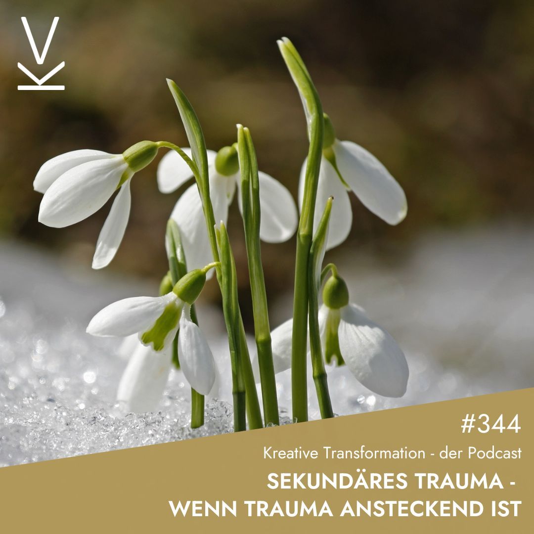 #344 Sekundäres Trauma - wenn Trauma ansteckend ist