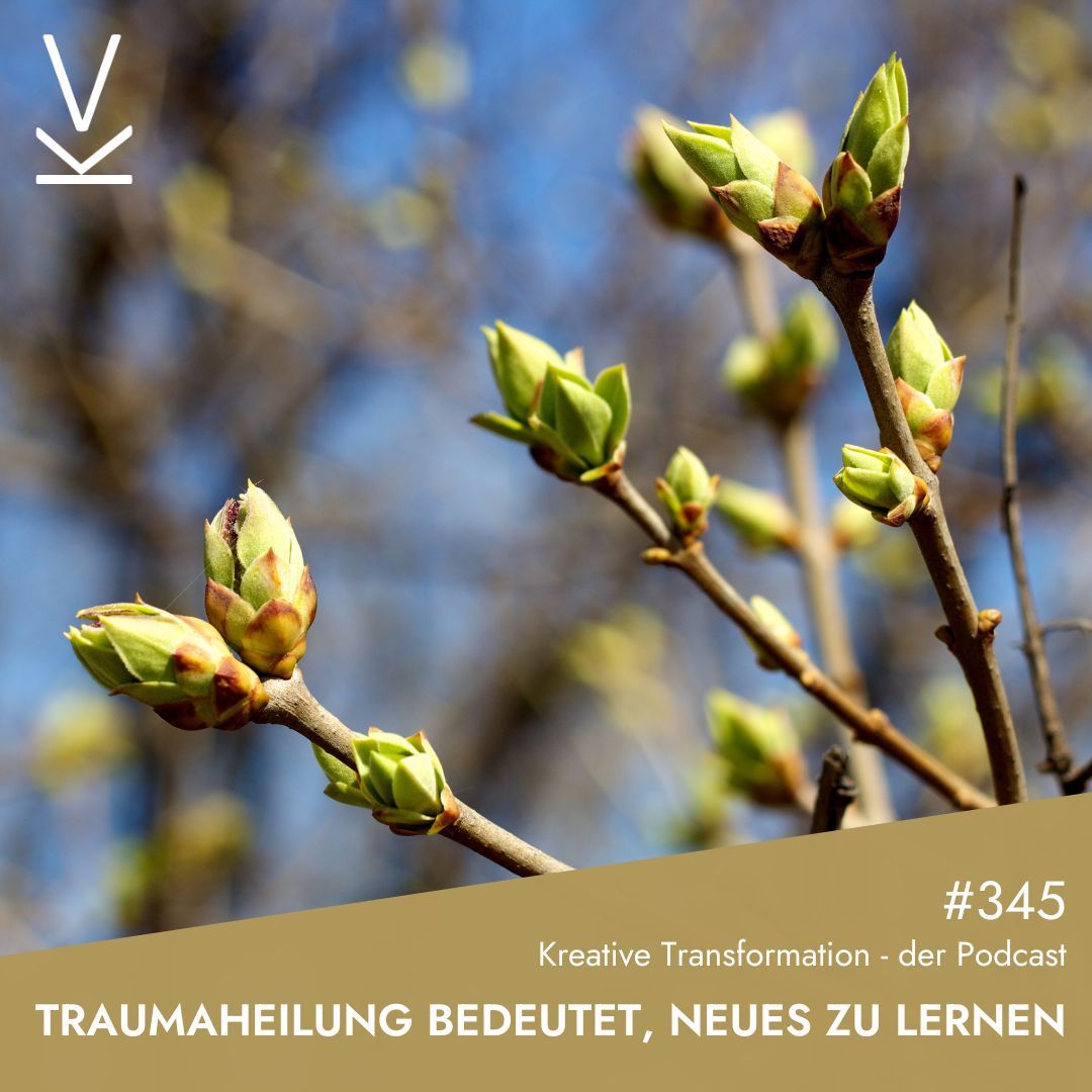 #345 Traumaheilung bedeutet, Neues zu lernen