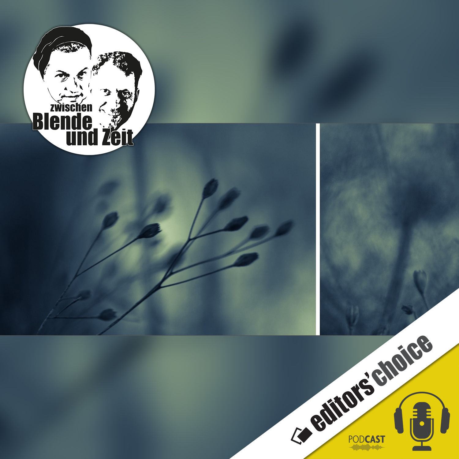 349 - Nelia J. "Lichtsucher" - Editors' Choice